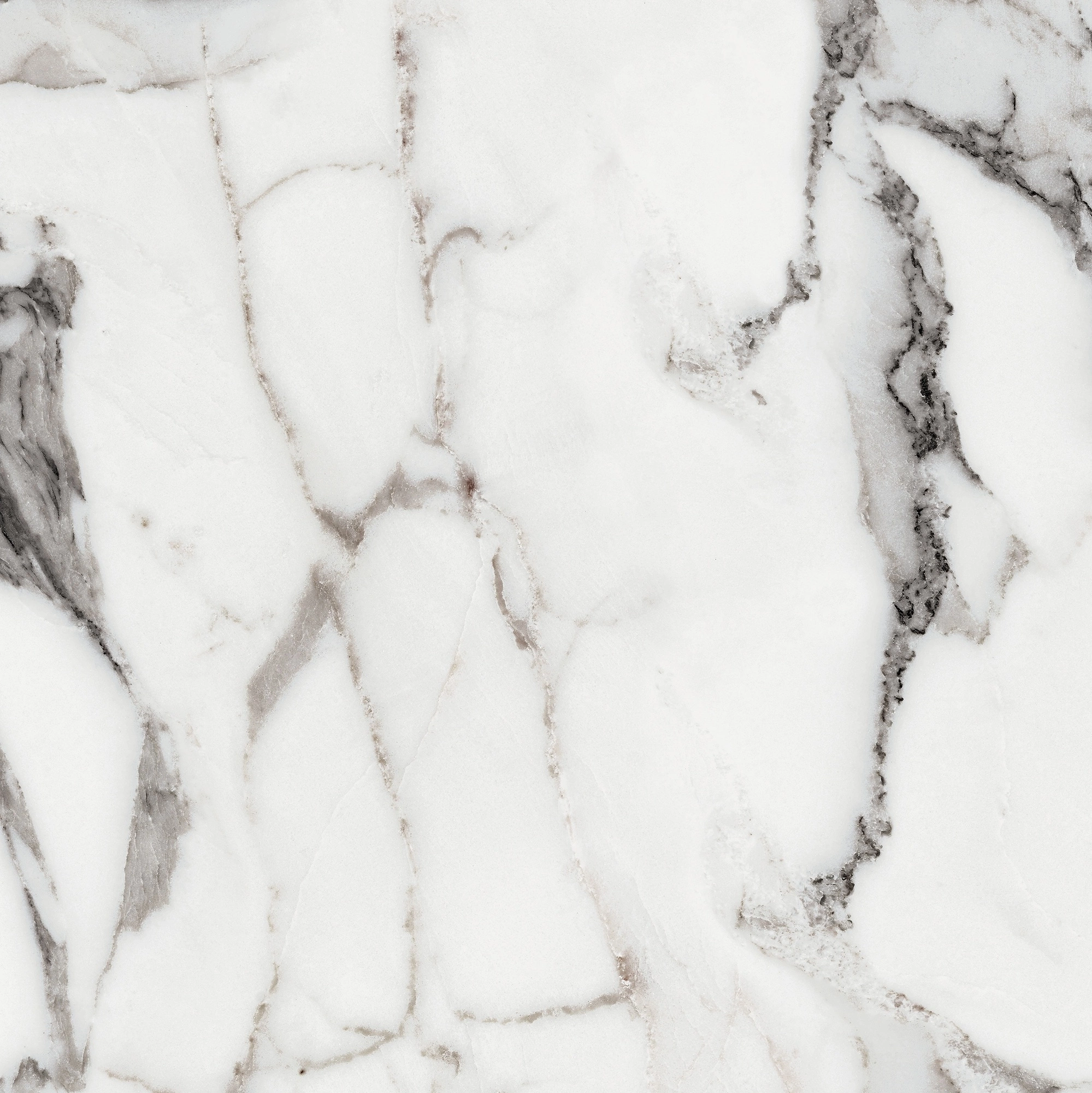 Florim Rex Origines De Rex Argent Matte 60X60 Rett 769839