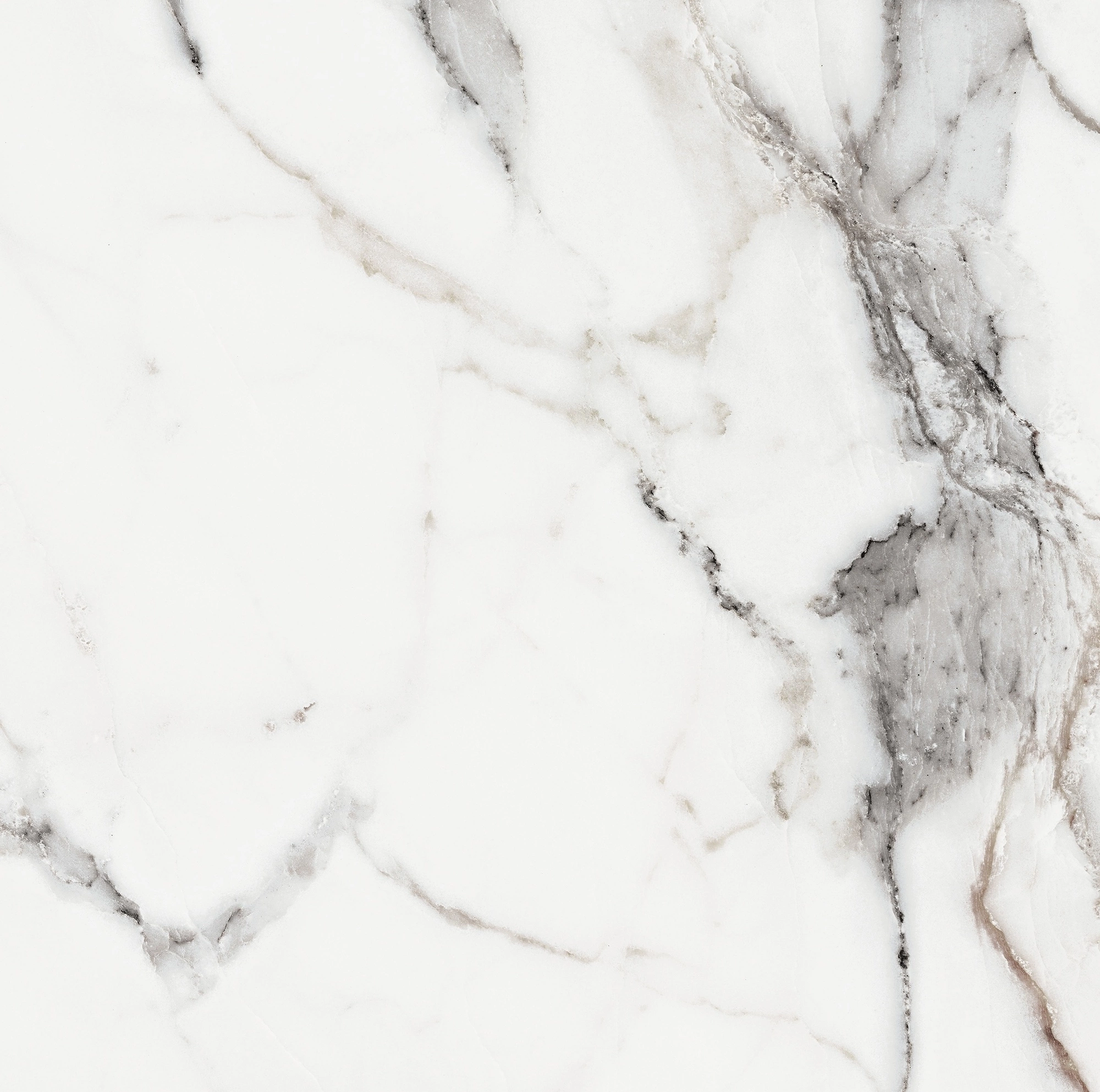 Florim Rex Origines De Rex Argent Matte 60X60 Rett 769839