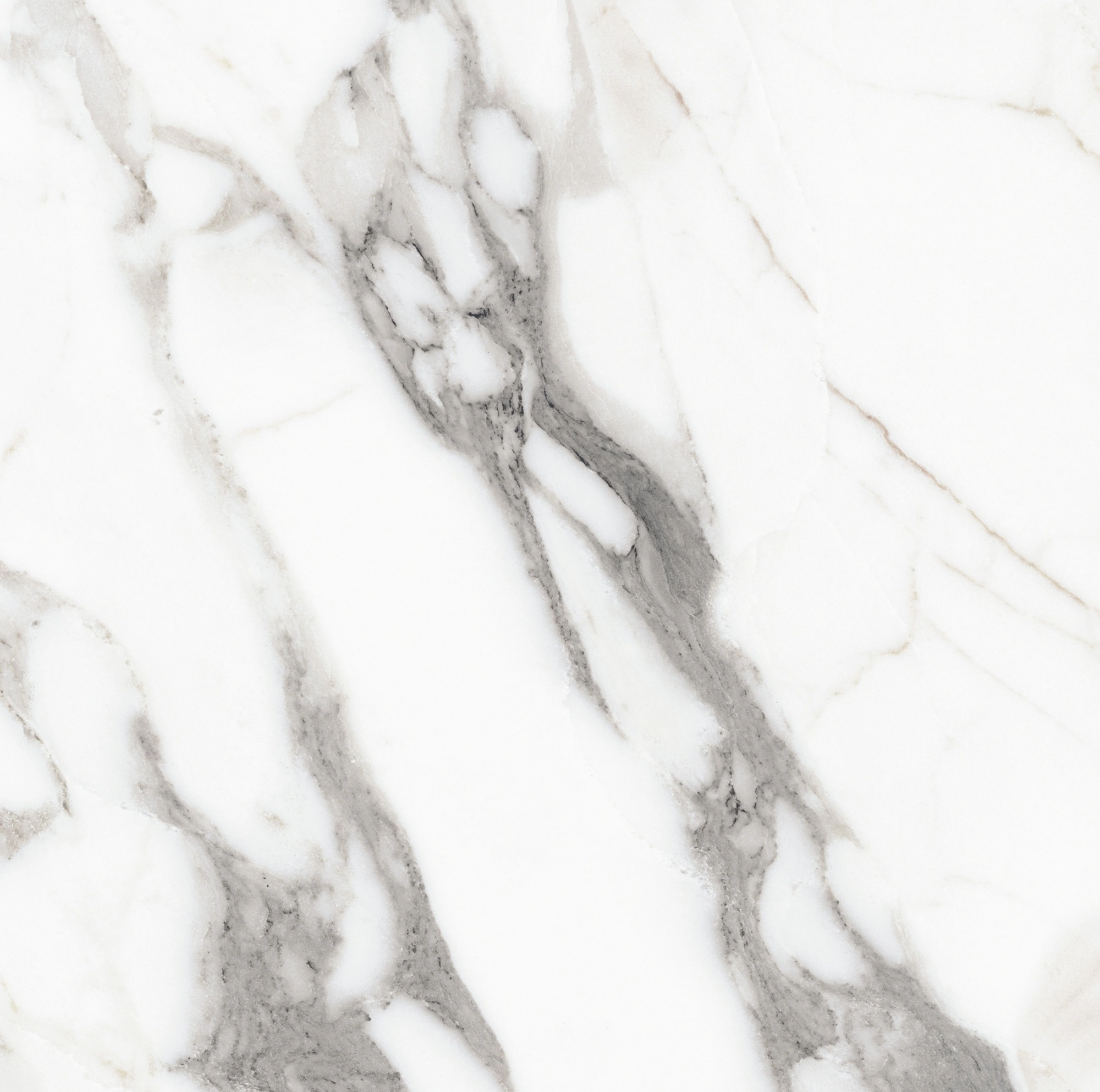 Florim Rex Origines De Rex Argent Matte 60X60 Rett 769839