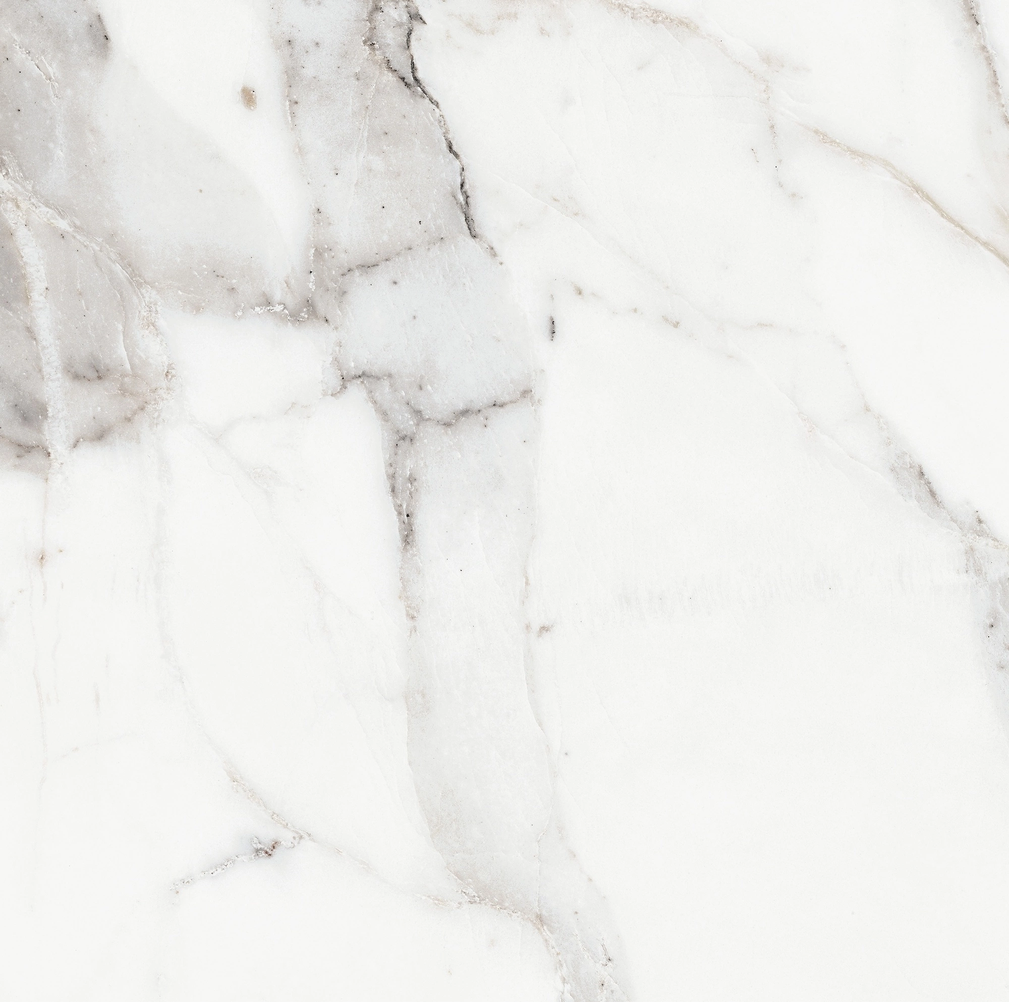 Florim Rex Origines De Rex Argent Matte 60X60 Rett 769839