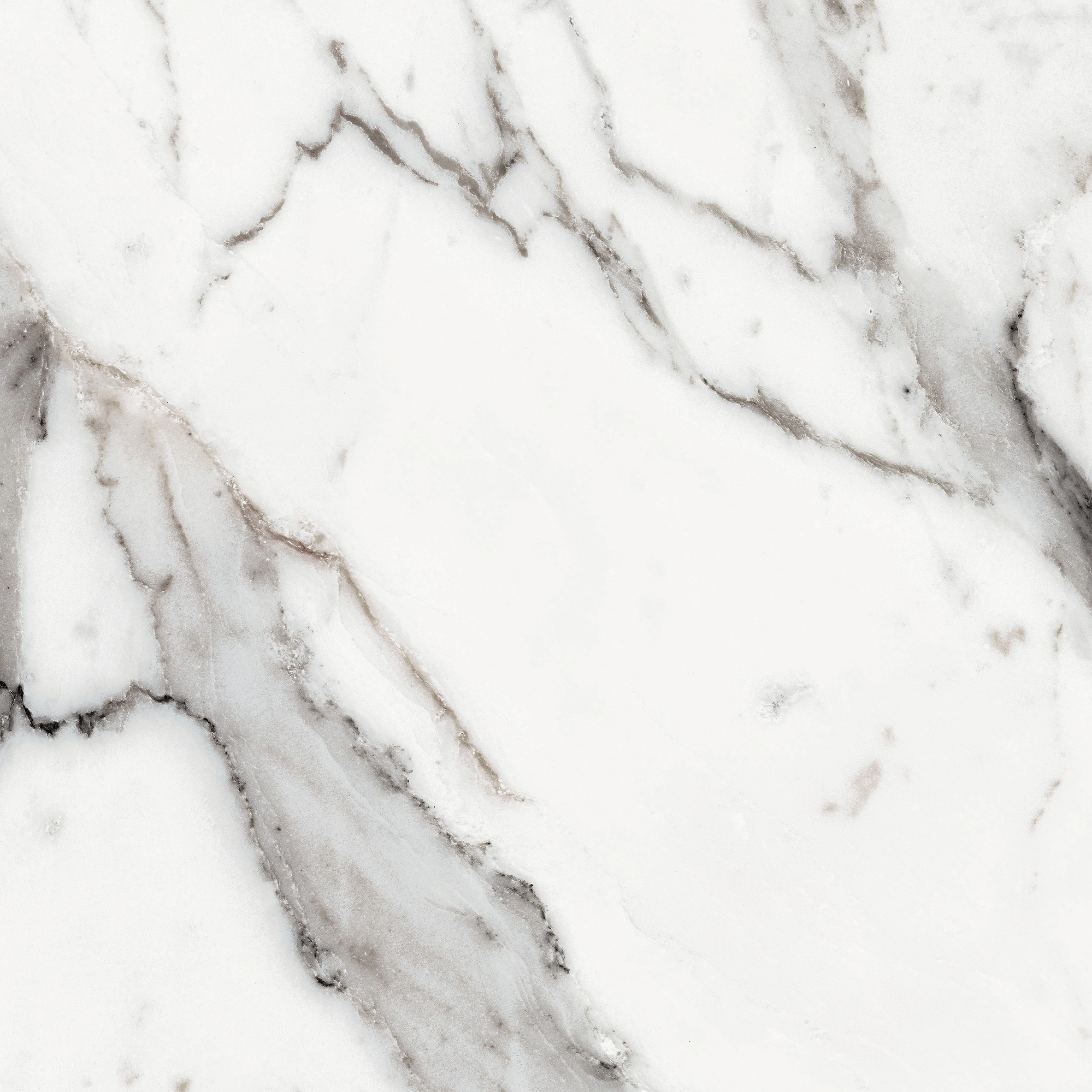 Florim Rex Origines De Rex Argent Matte 60X60 Rett 769839