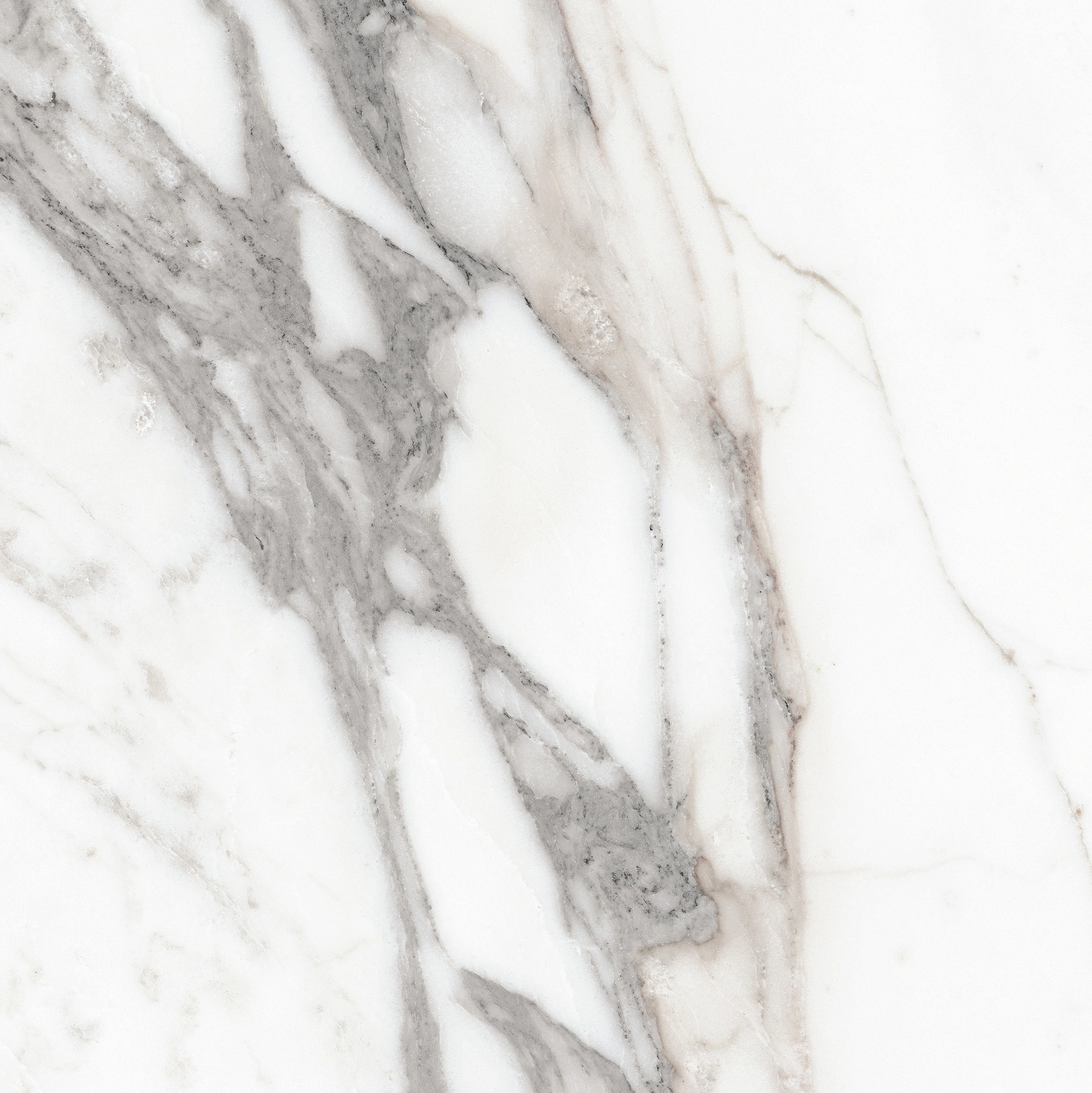 Florim Rex Origines De Rex Argent Matte 60X60 Rett 769839