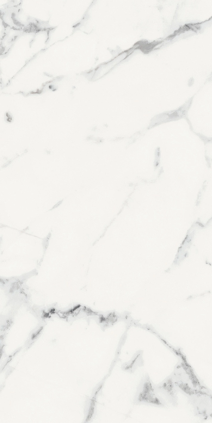 Florim Rex Origines De Rex Blanc Glo 6Mm 60X120 R 769985