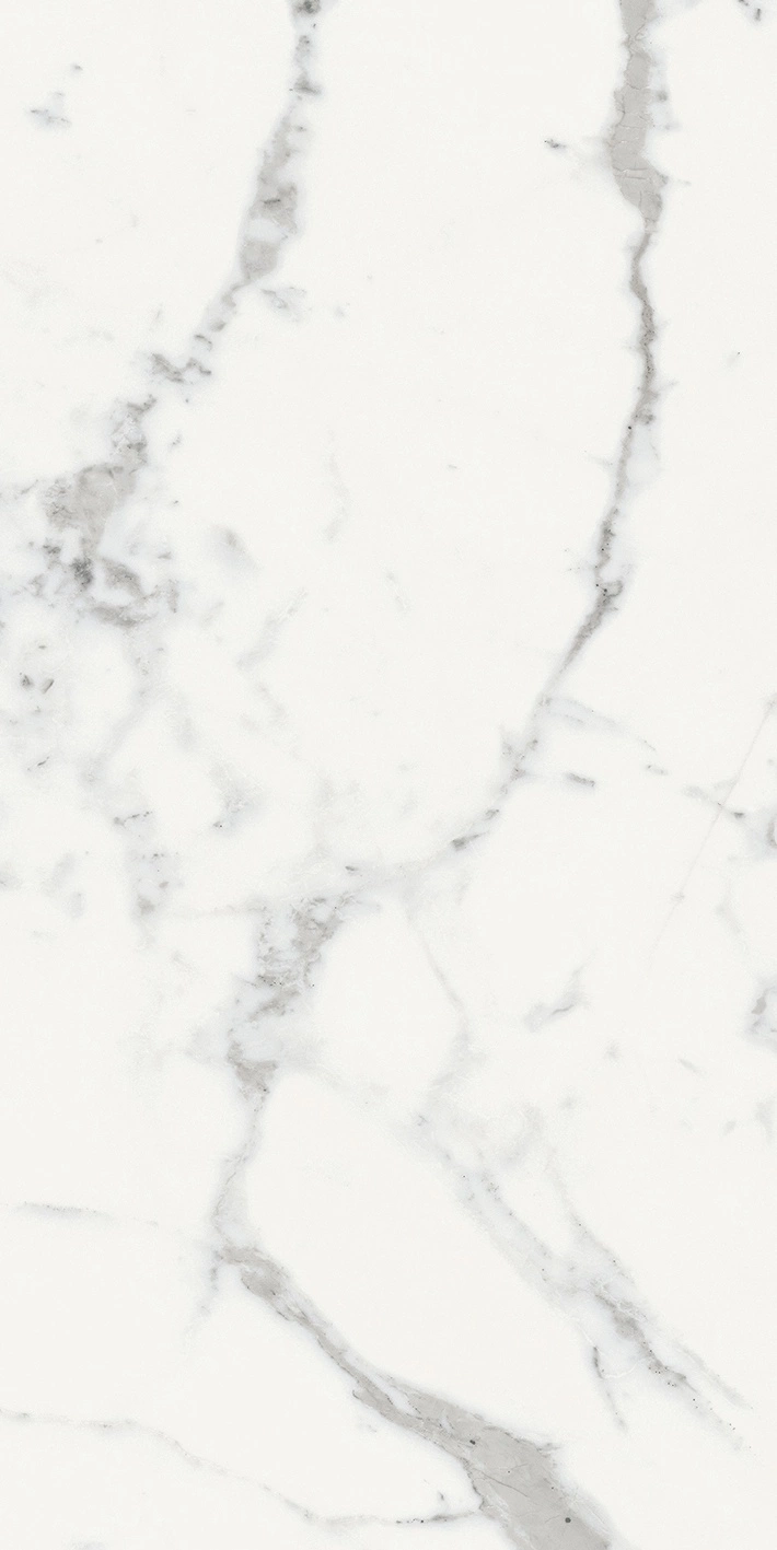 Florim Rex Origines De Rex Blanc Glo 6Mm 60X120 R 769985