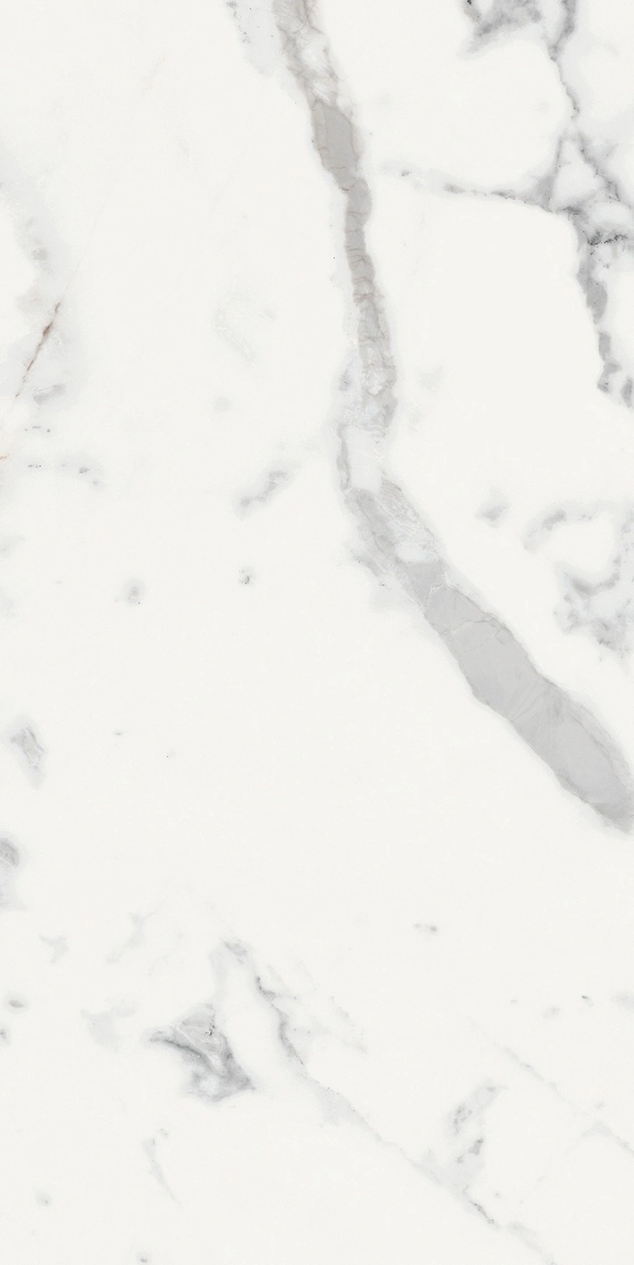 Florim Rex Origines De Rex Blanc Glo 6Mm 60X120 R 769985