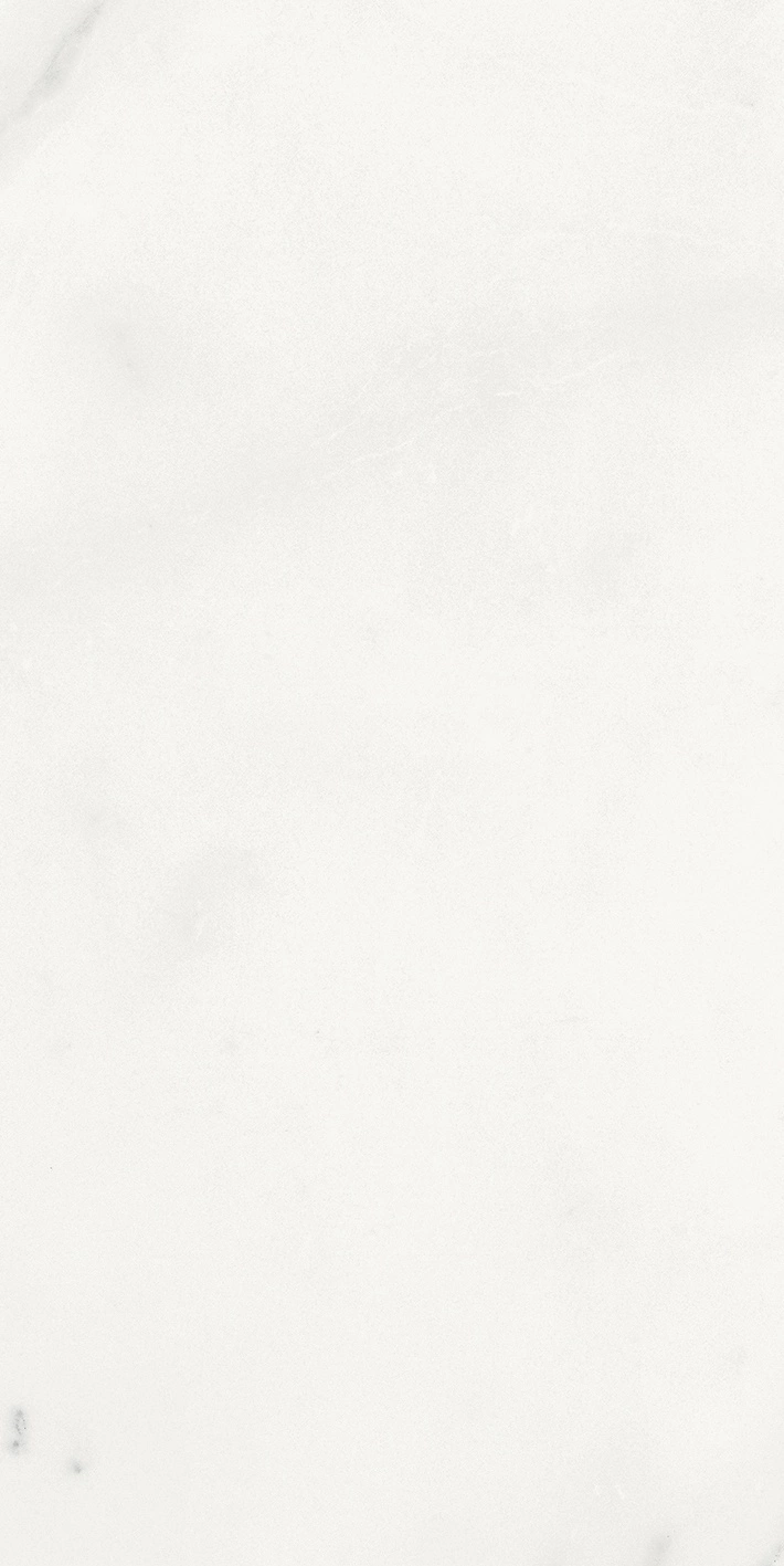 Florim Rex Origines De Rex Blanc Glossy 30X60 Rett 769852