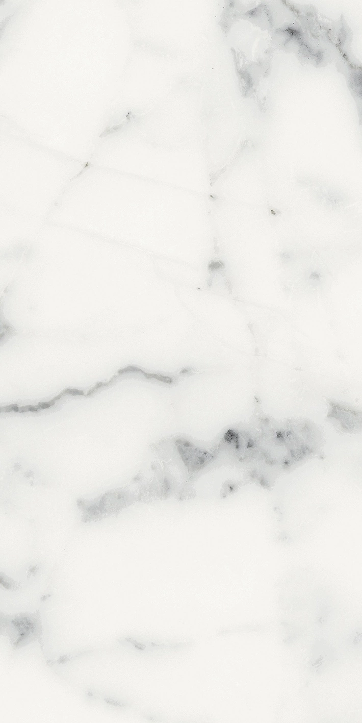 Florim Rex Origines De Rex Blanc Glossy 30X60 Rett 769852