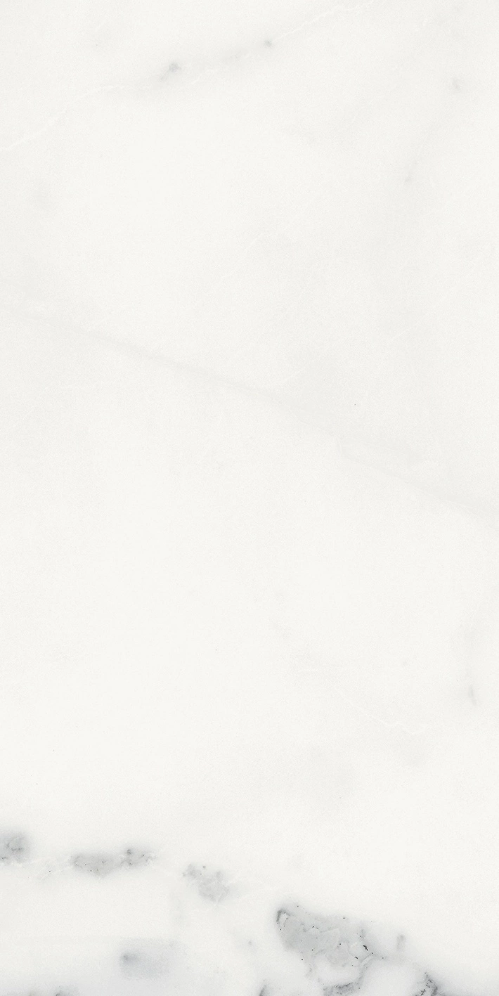 Florim Rex Origines De Rex Blanc Glossy 30X60 Rett 769852