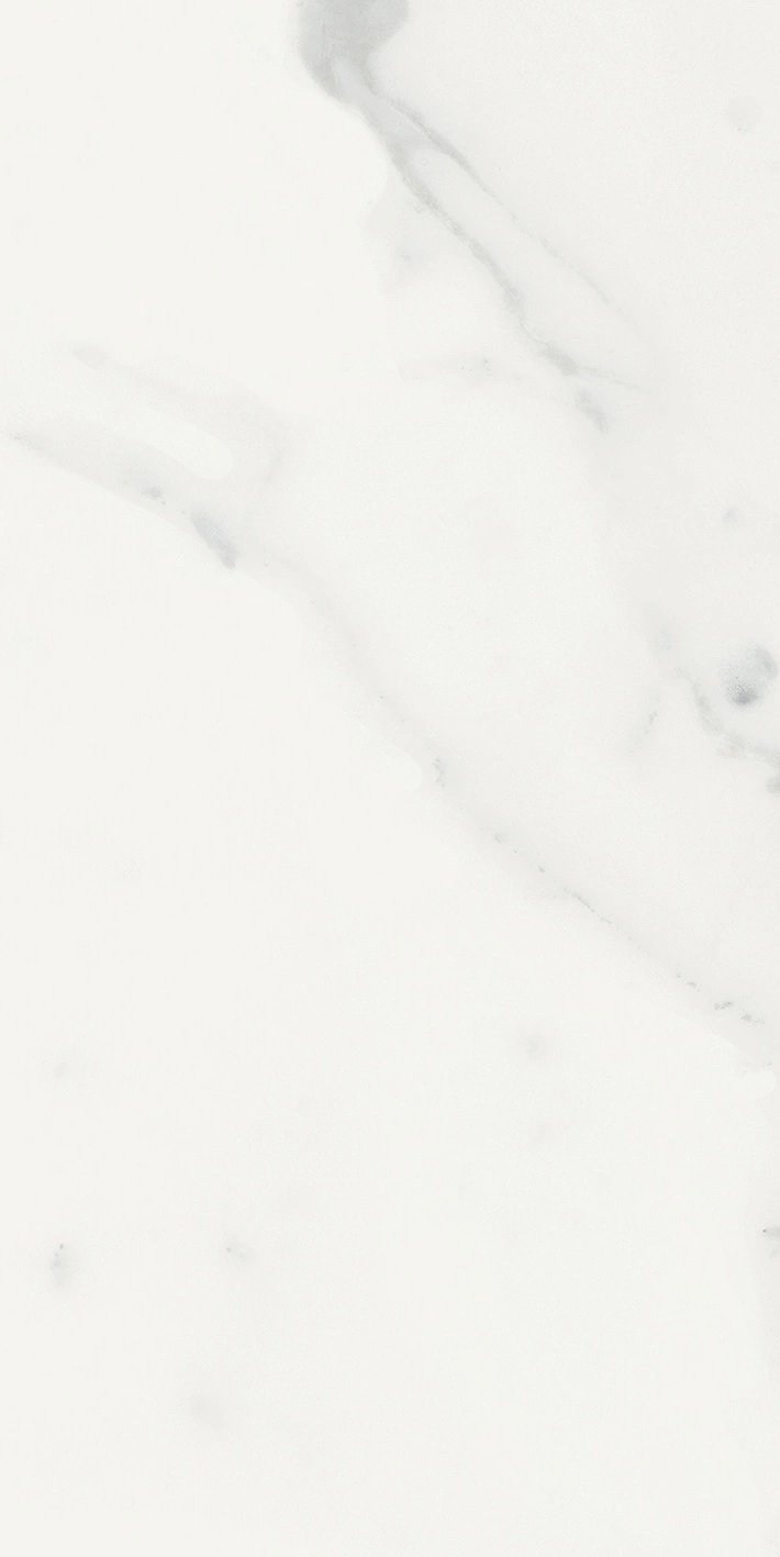 Florim Rex Origines De Rex Blanc Glossy 30X60 Rett 769852