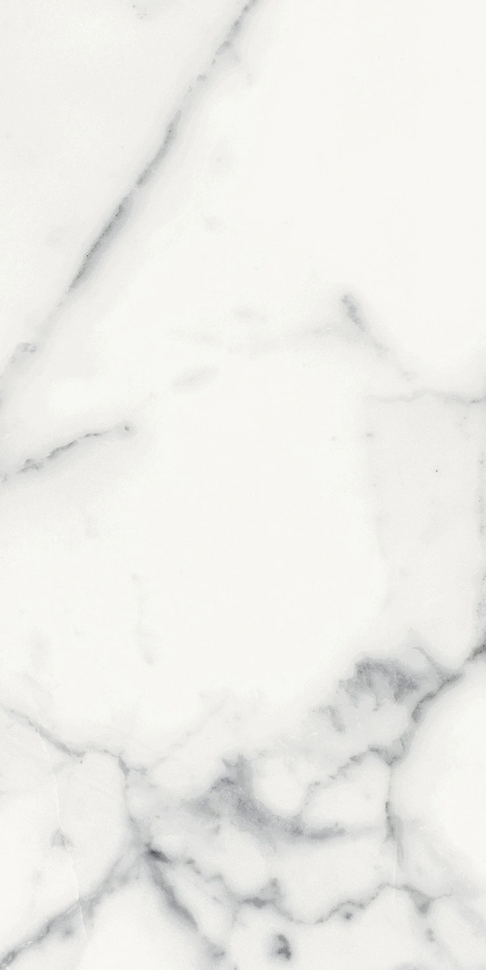 Florim Rex Origines De Rex Blanc Glossy 30X60 Rett 769852