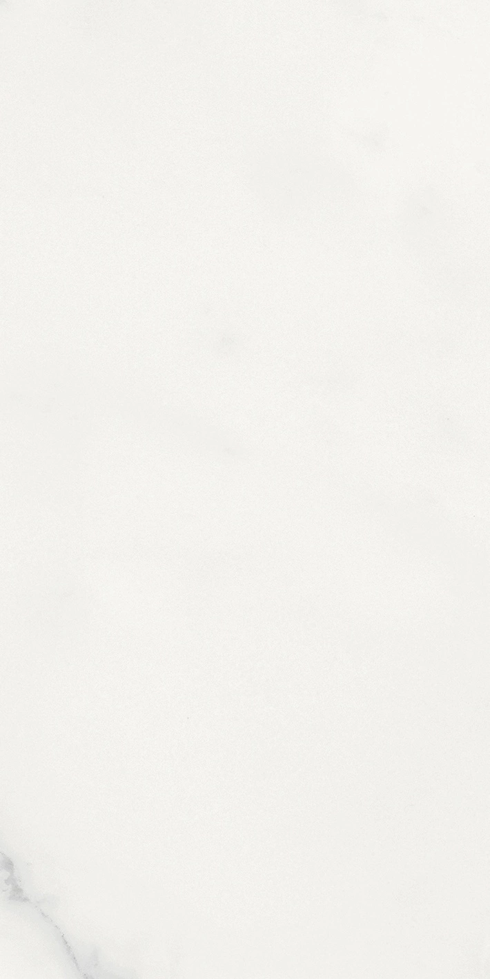 Florim Rex Origines De Rex Blanc Glossy 30X60 Rett 769852