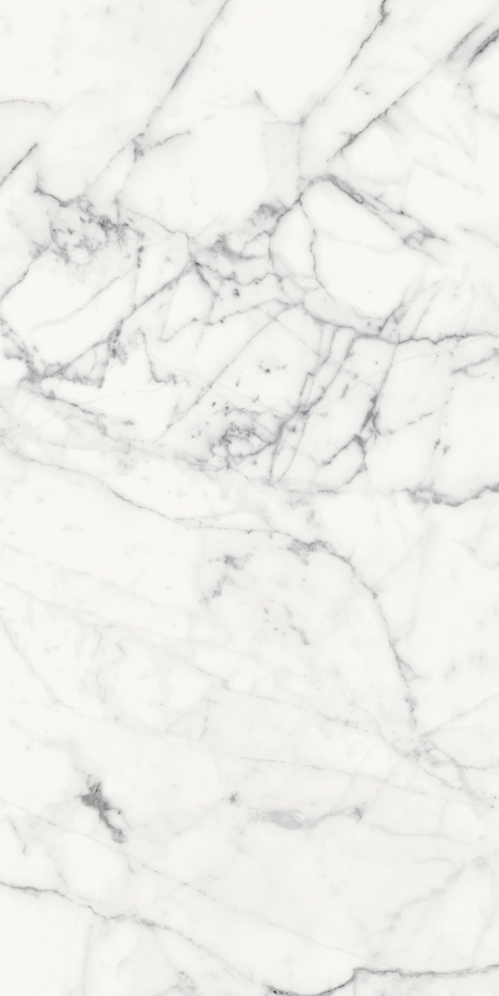 Florim Rex Origines De Rex Blanc Glossy 60X120 Rett 769860