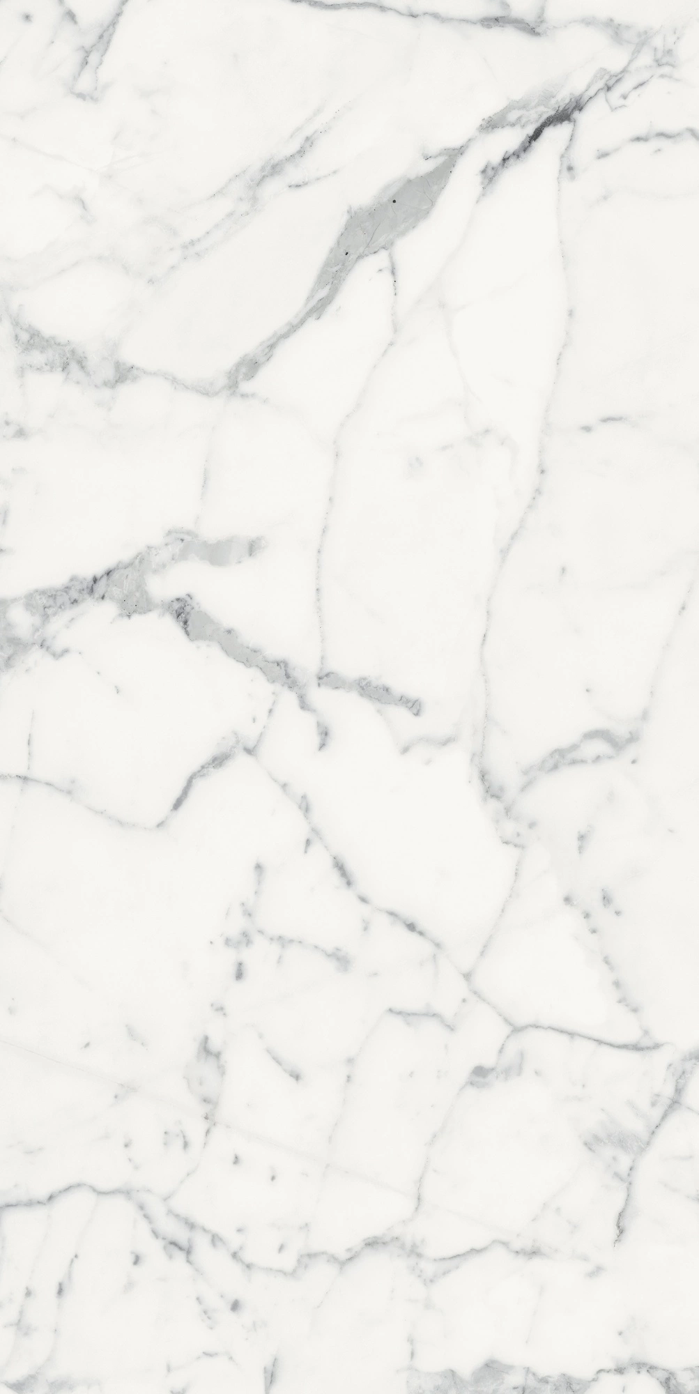 Florim Rex Origines De Rex Blanc Glossy 60X120 Rett 769860