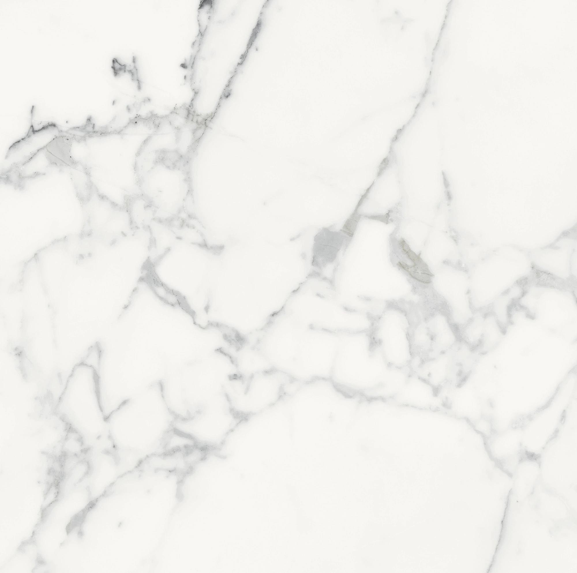 Florim Rex Origines De Rex Blanc Glossy 60X60 Rett 769844