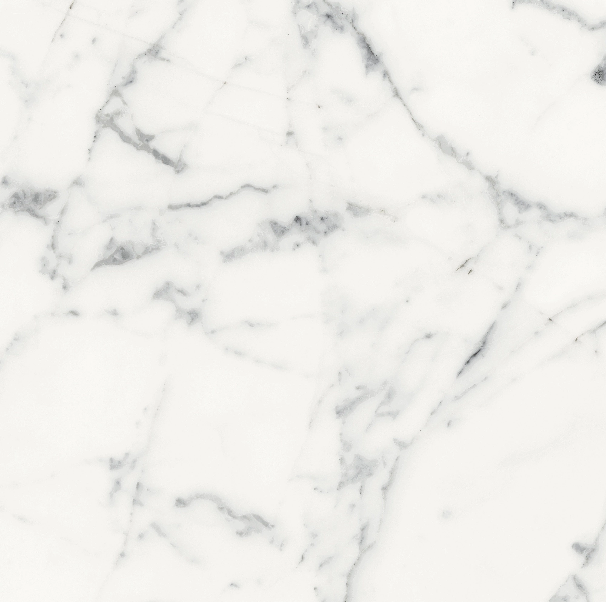 Florim Rex Origines De Rex Blanc Glossy 60X60 Rett 769844