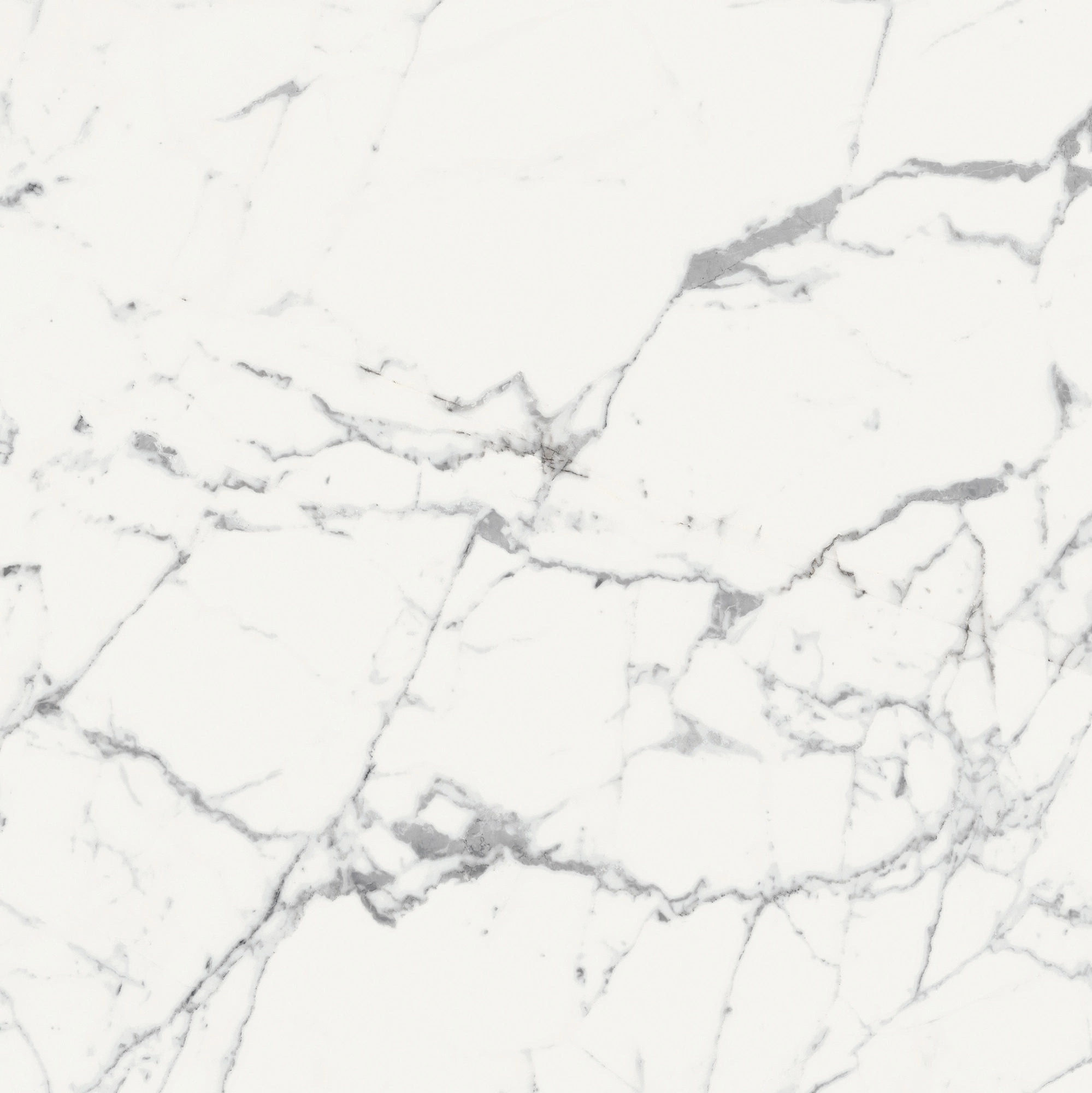 Florim Rex Origines De Rex Blanc Mat 6Mm 120X120 R 769957