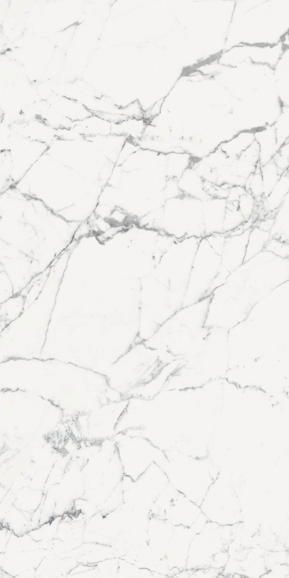 Florim Rex Origines De Rex Blanc Mat 6Mm 120X240 R 769965