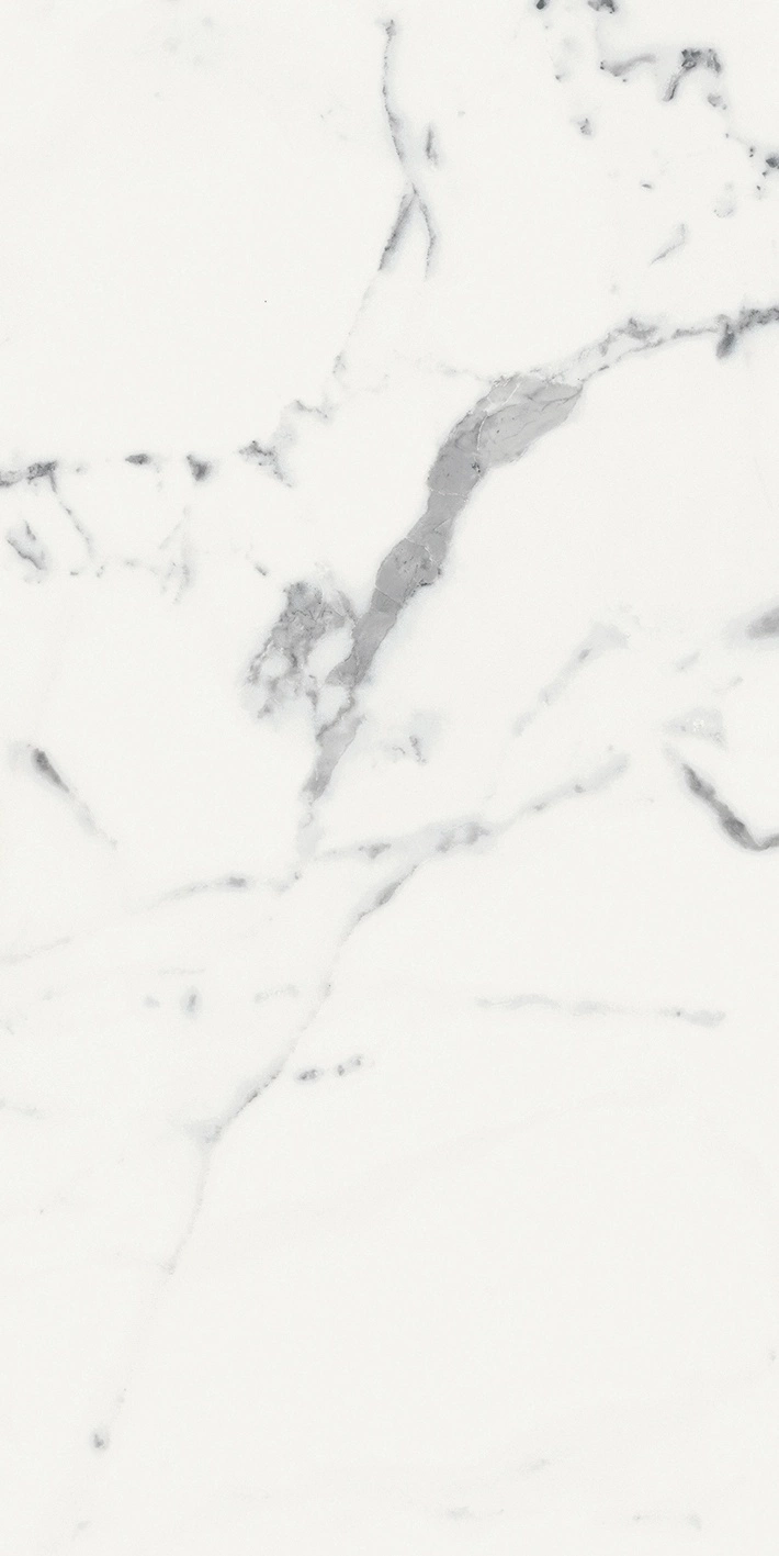 Florim Rex Origines De Rex Blanc Mat 6Mm 60X120 R 769981