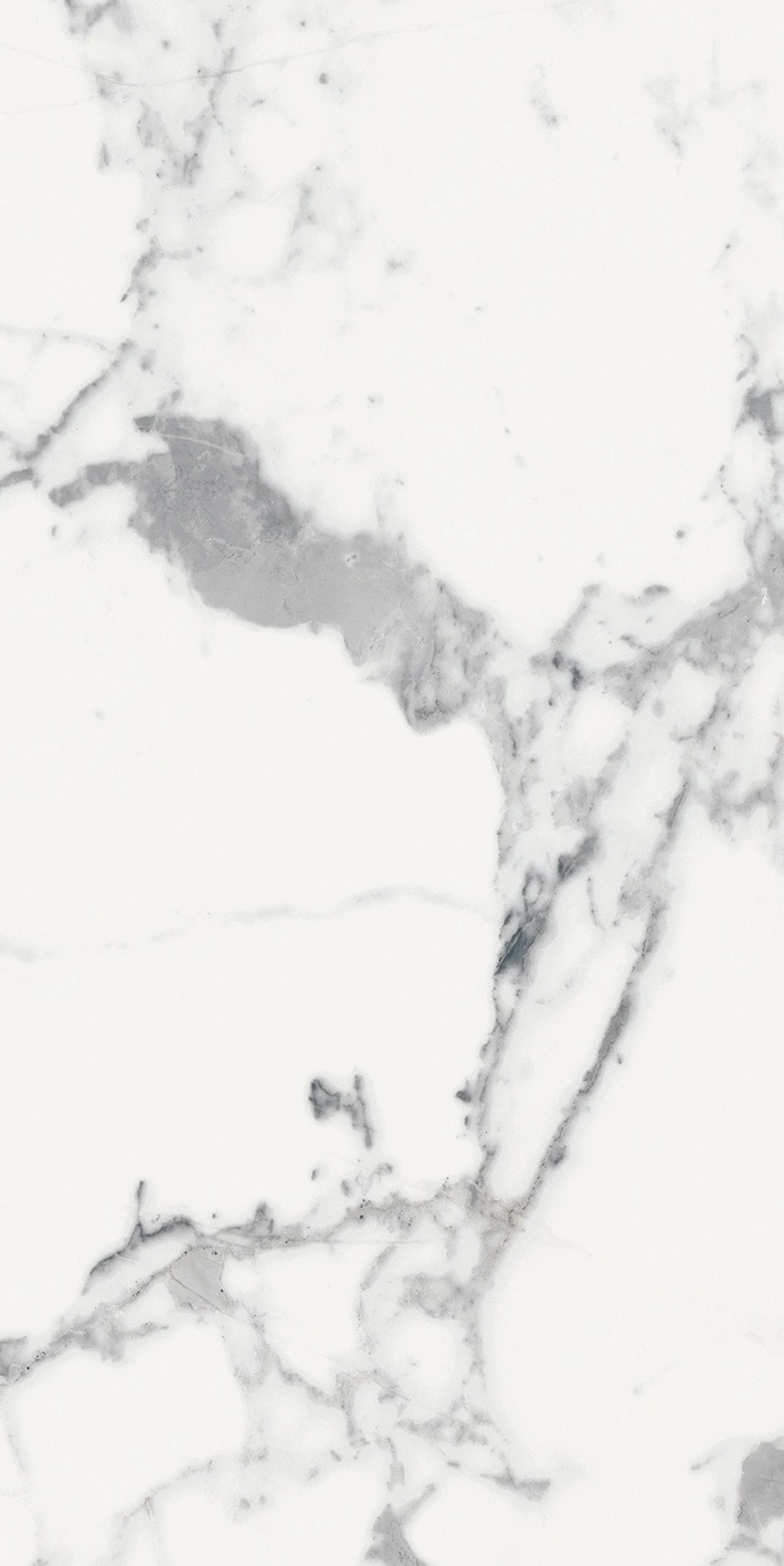 Florim Rex Origines De Rex Blanc Mat 6Mm 60X120 R 769981