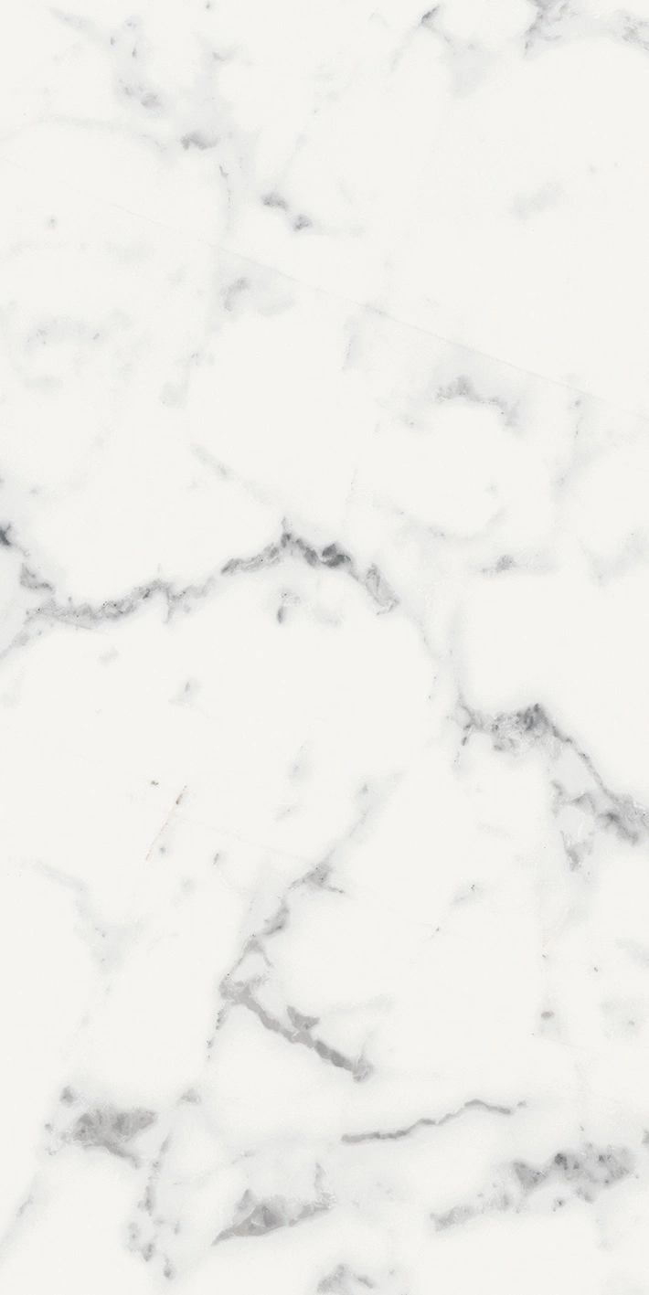 Florim Rex Origines De Rex Blanc Mat 6Mm 60X120 R 769981