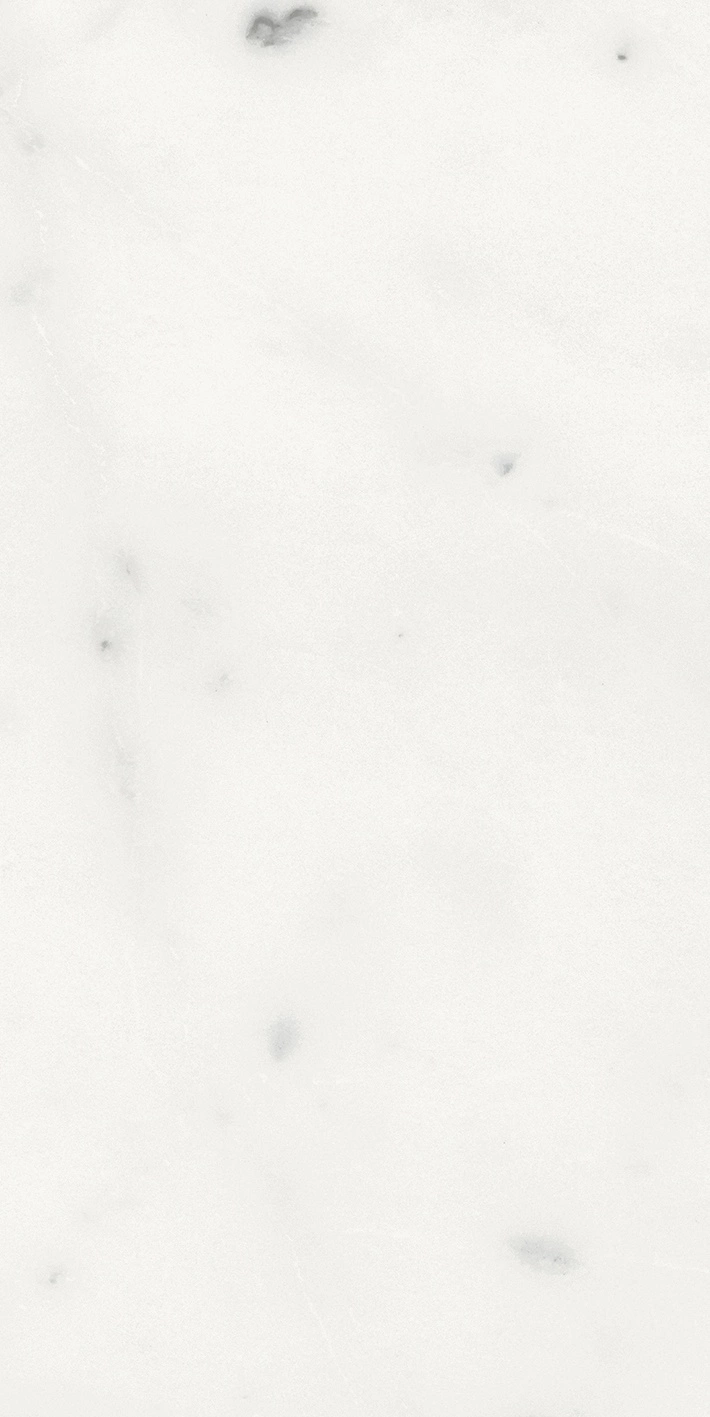 Florim Rex Origines De Rex Blanc Matte 30X60 Rett 769848