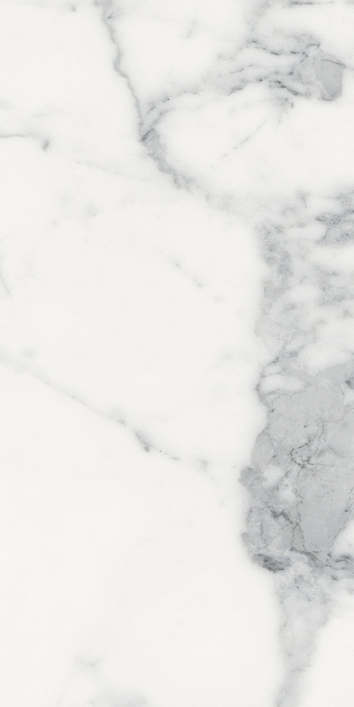 Florim Rex Origines De Rex Blanc Matte 30X60 Rett 769848