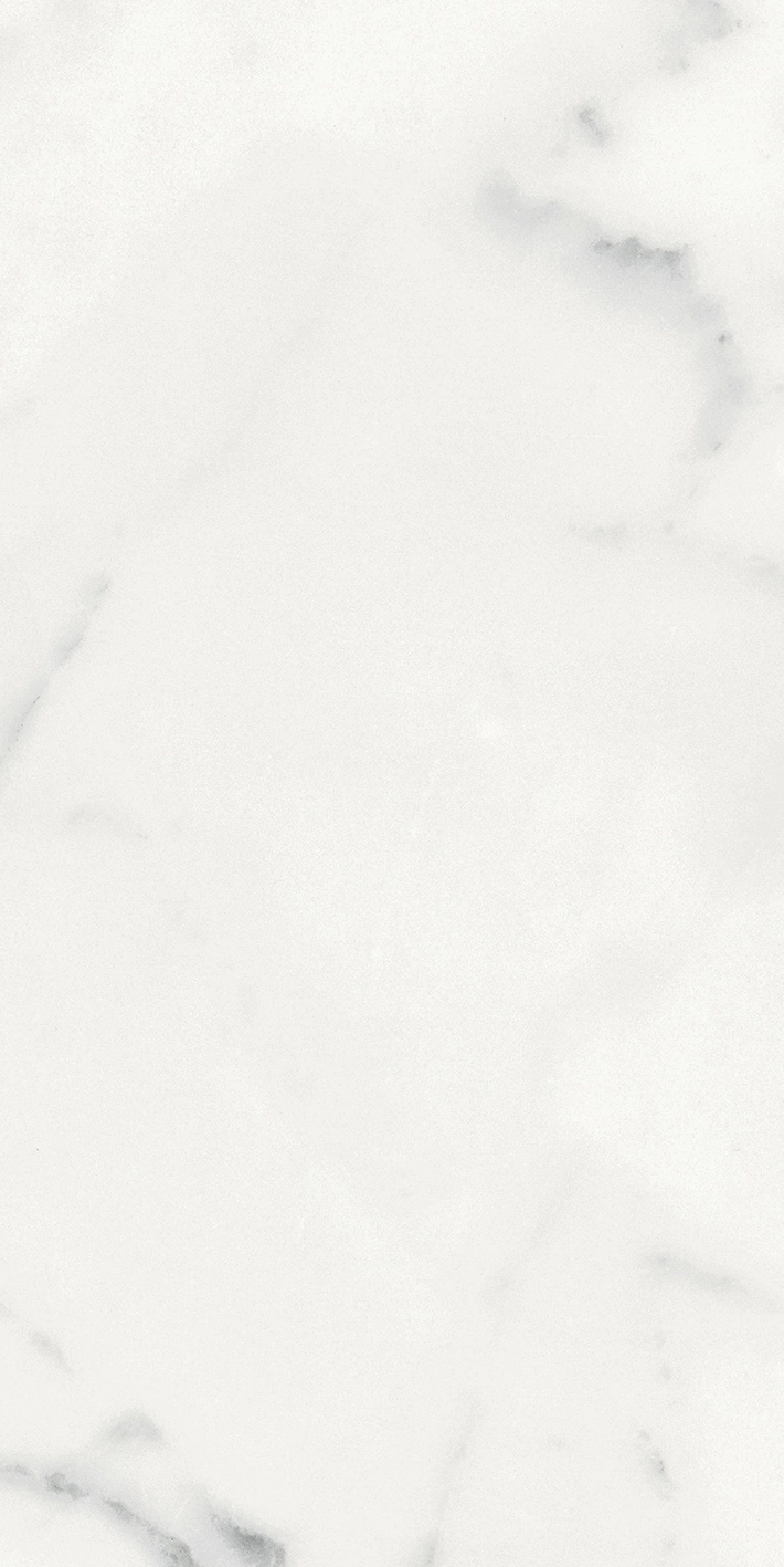 Florim Rex Origines De Rex Blanc Matte 30X60 Rett 769848