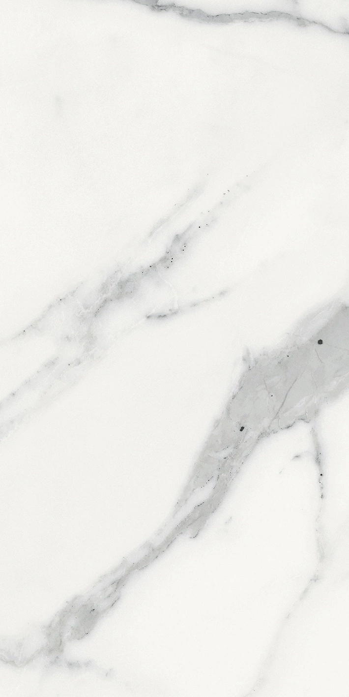 Florim Rex Origines De Rex Blanc Matte 30X60 Rett 769848