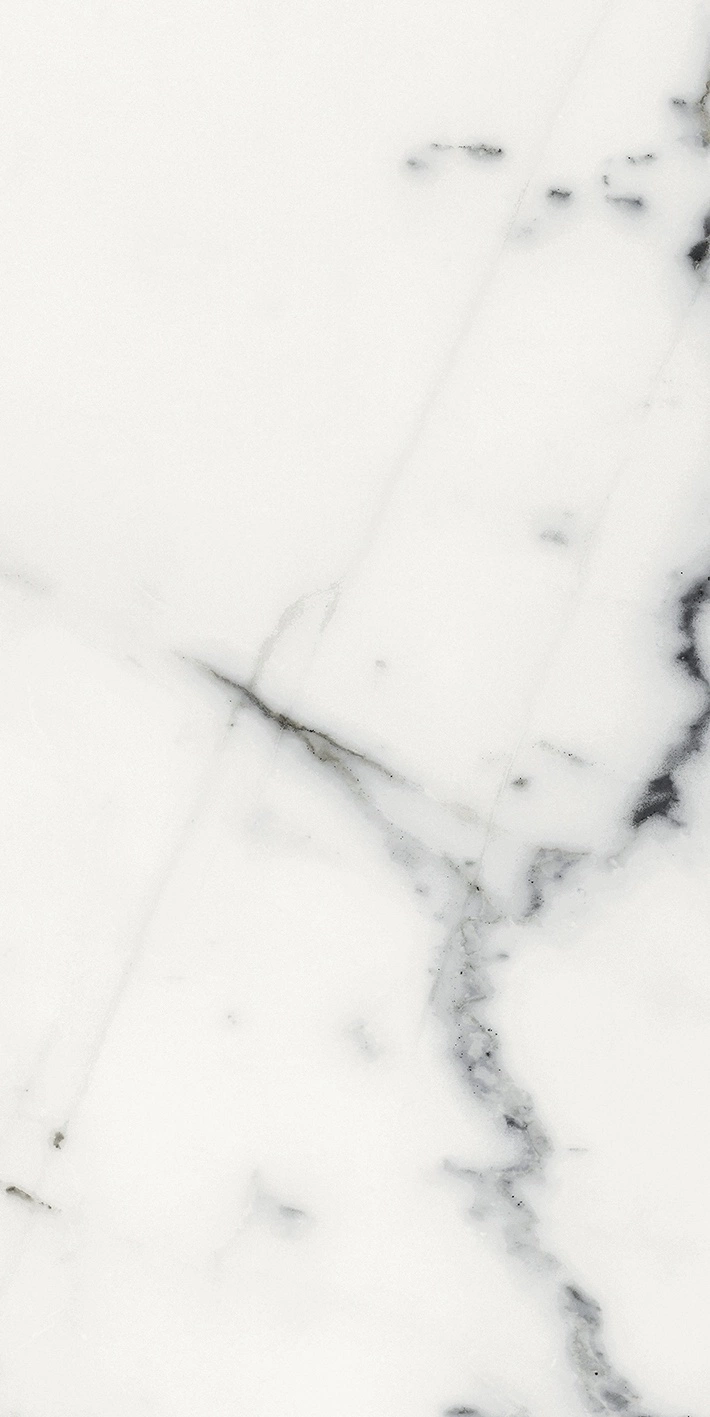 Florim Rex Origines De Rex Blanc Matte 30X60 Rett 769848