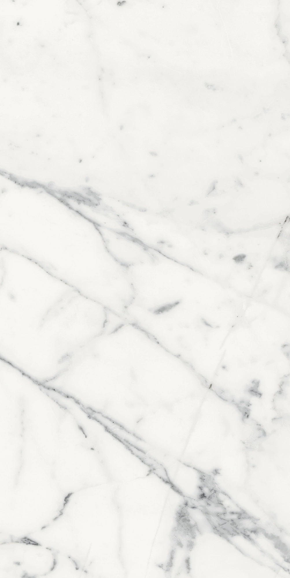 Florim Rex Origines De Rex Blanc Matte 60X120 Rett 769856