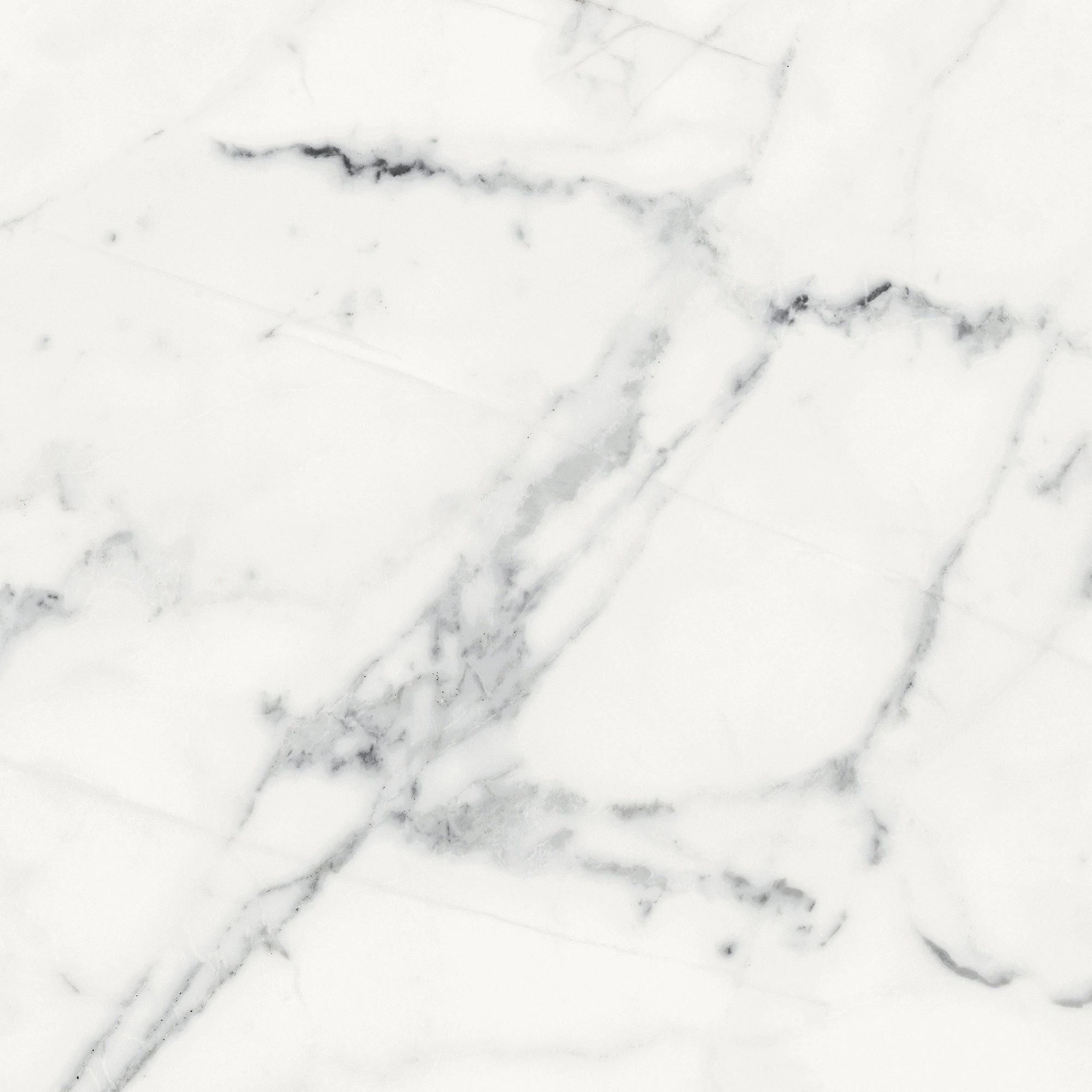 Florim Rex Origines De Rex Blanc Matte 60X60 Rett 769840