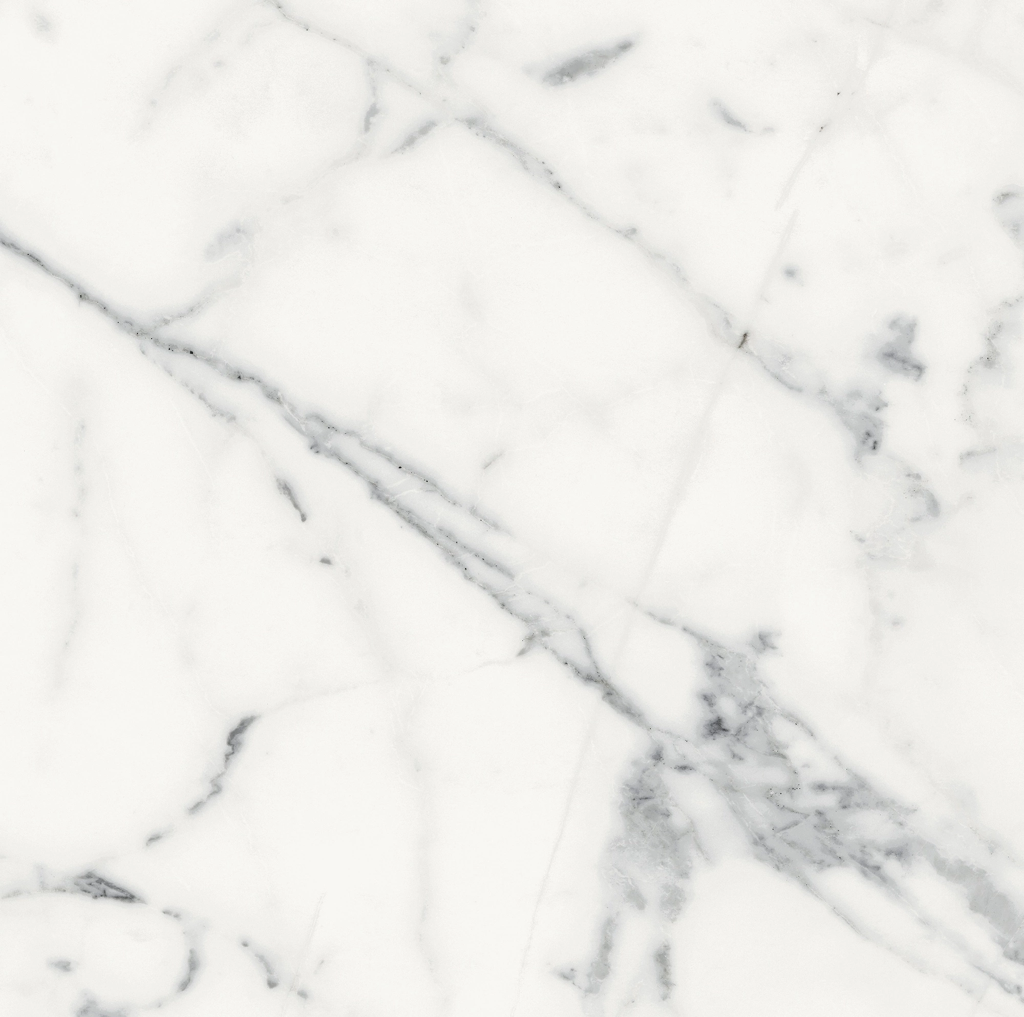 Florim Rex Origines De Rex Blanc Matte 60X60 Rett 769840