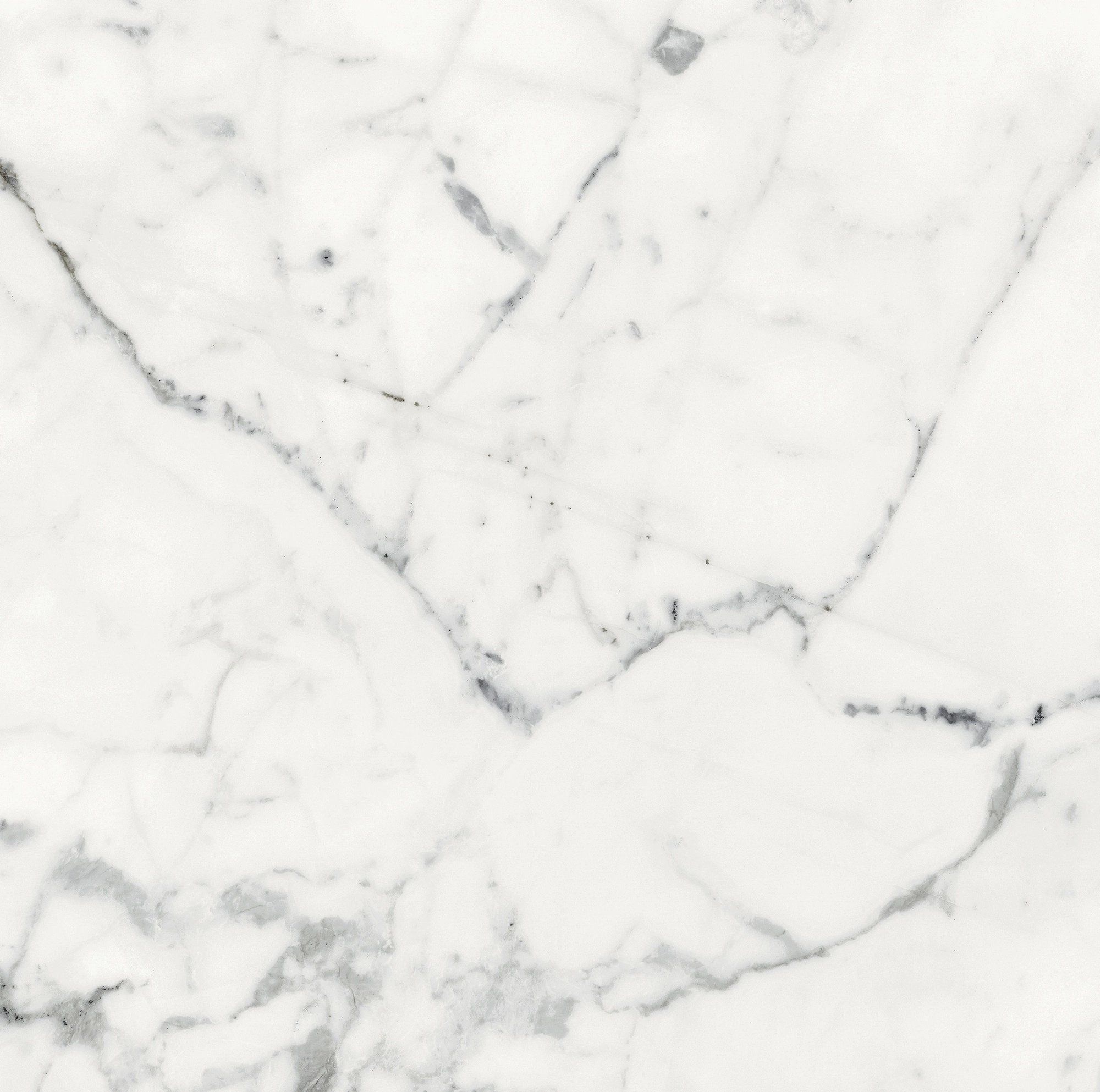 Florim Rex Origines De Rex Blanc Matte 60X60 Rett 769840