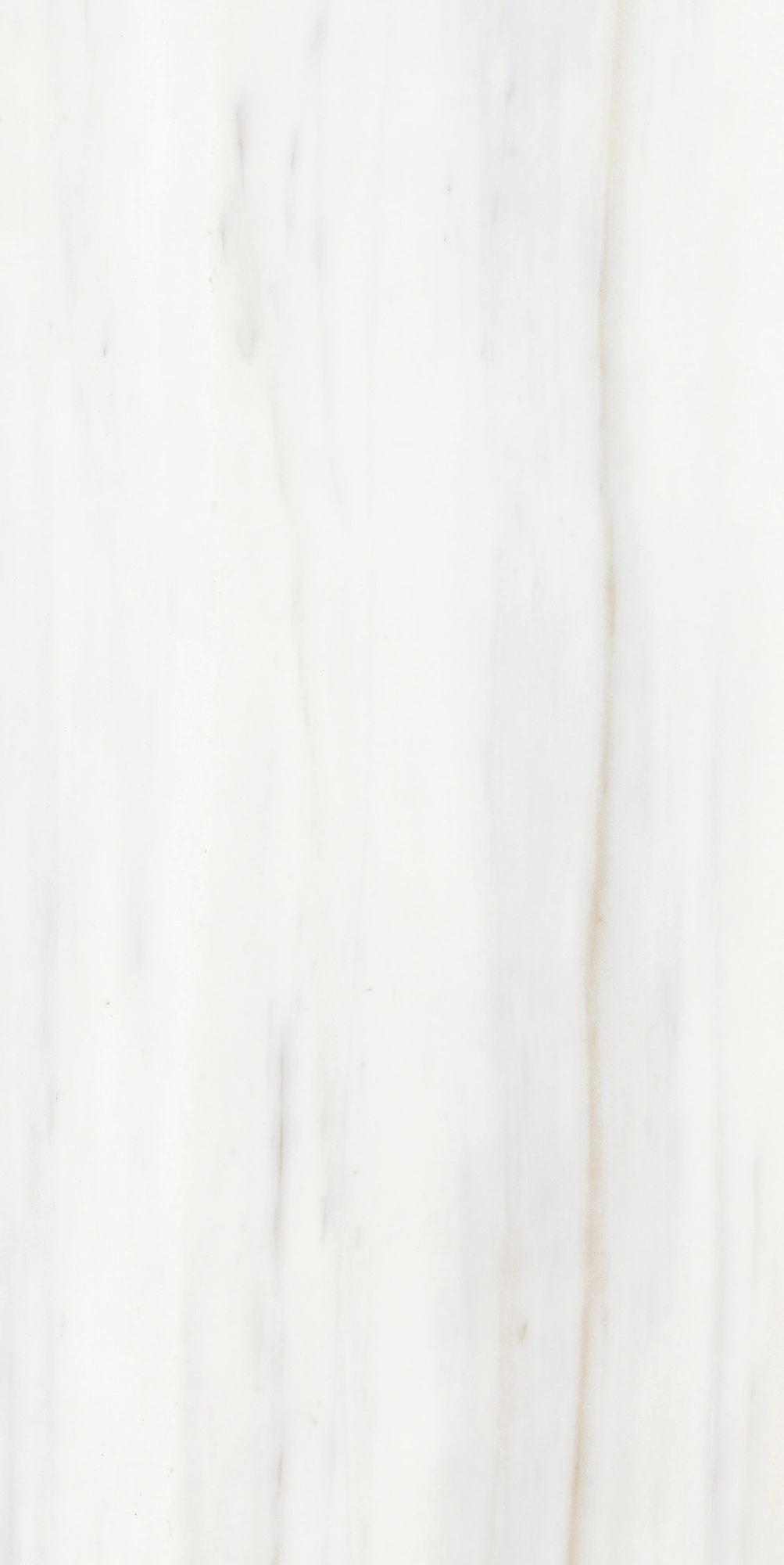 Florim Rex Origines De Rex Ombre Doree Mat 60X120 R 769857