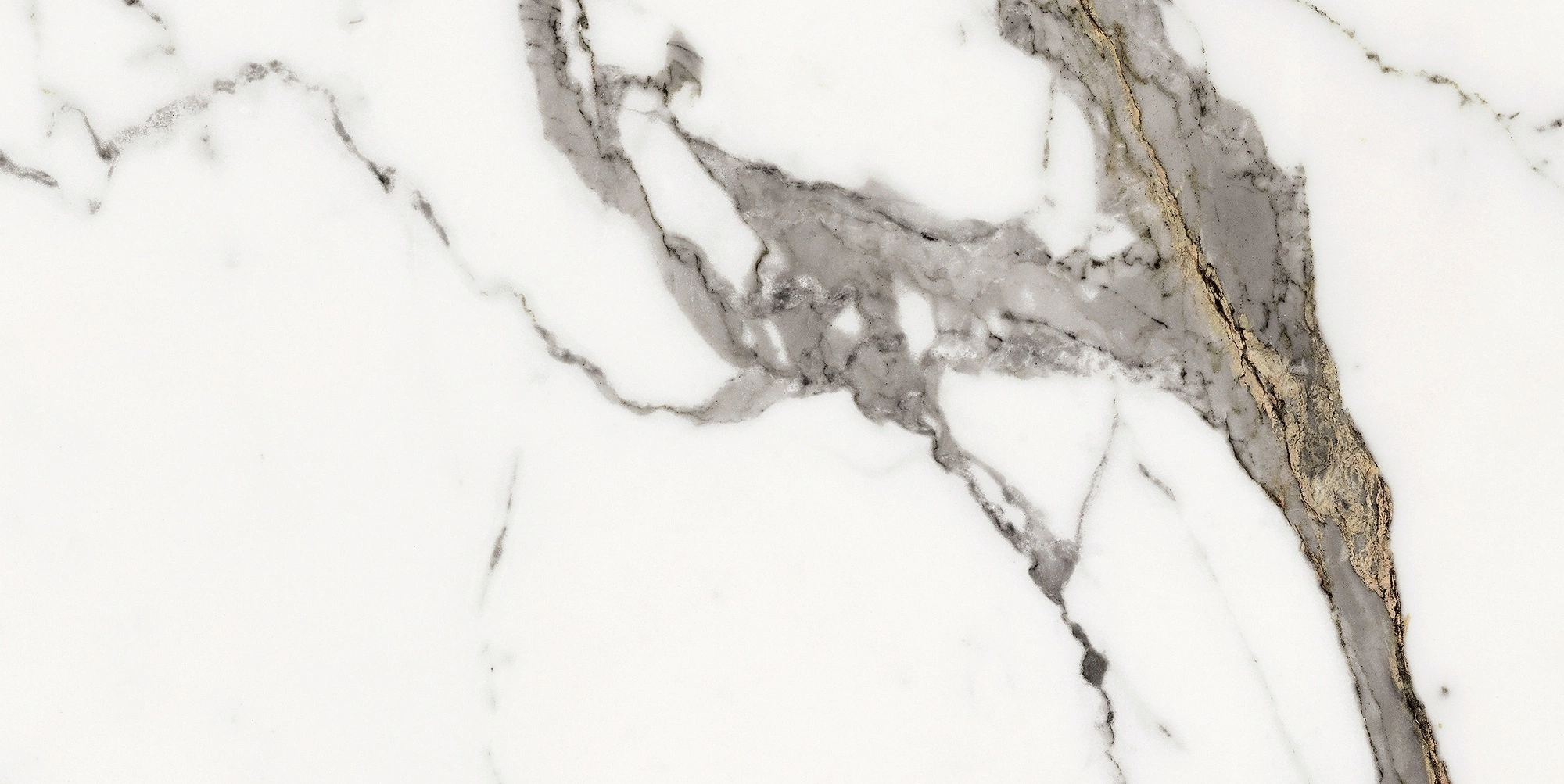 Florim Rex Origines De Rex Or Glossy 30X60 Rett 769850