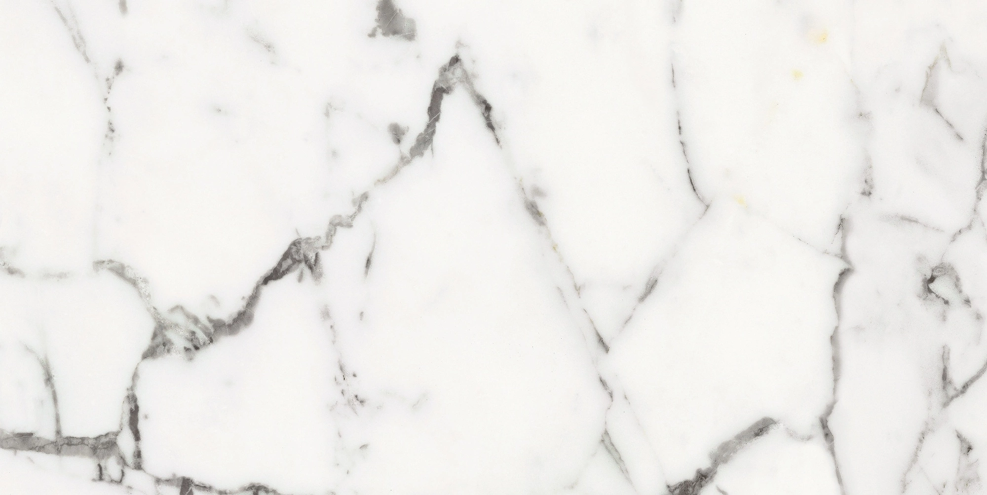 Florim Rex Origines De Rex Or Glossy 30X60 Rett 769850