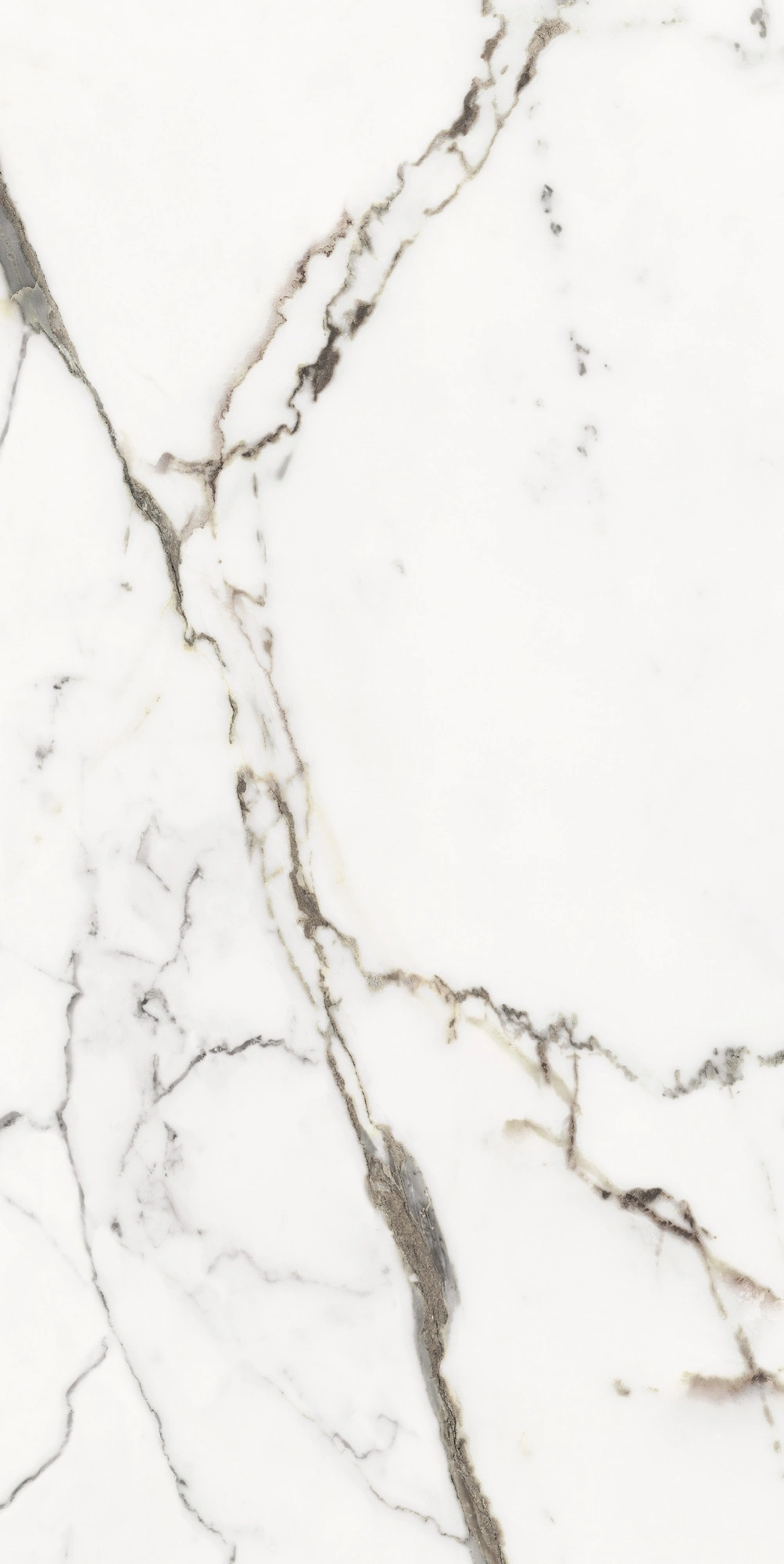 Florim Rex Origines De Rex Or Glossy 60X120 Rett 769858