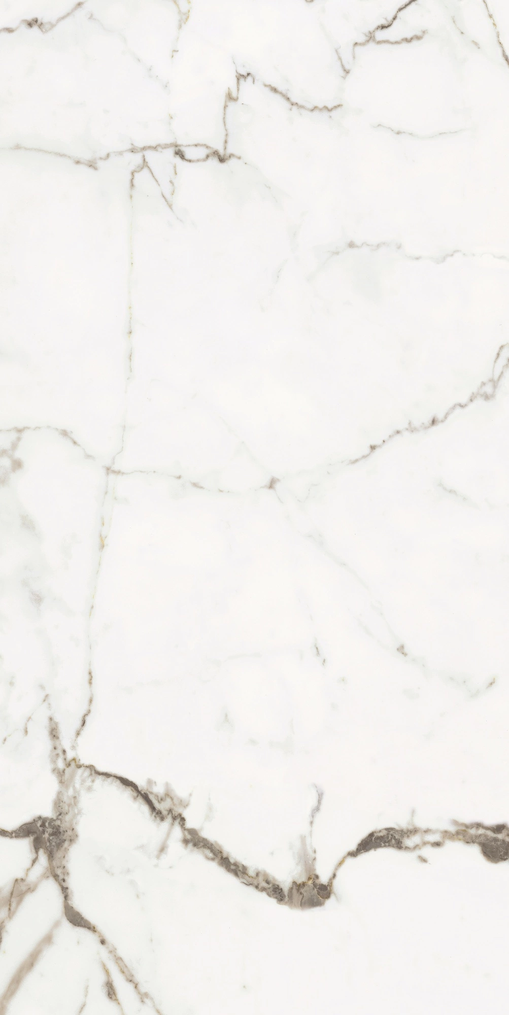 Florim Rex Origines De Rex Or Glossy 60X120 Rett 769858