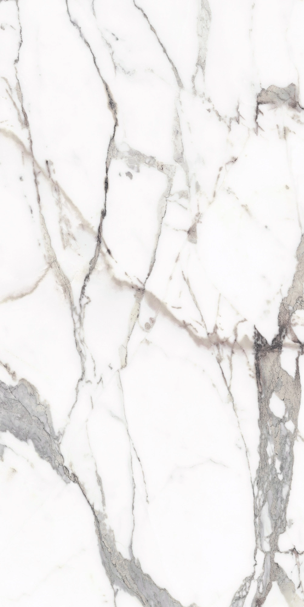 Florim Rex Origines De Rex Or Glossy 60X120 Rett 769858