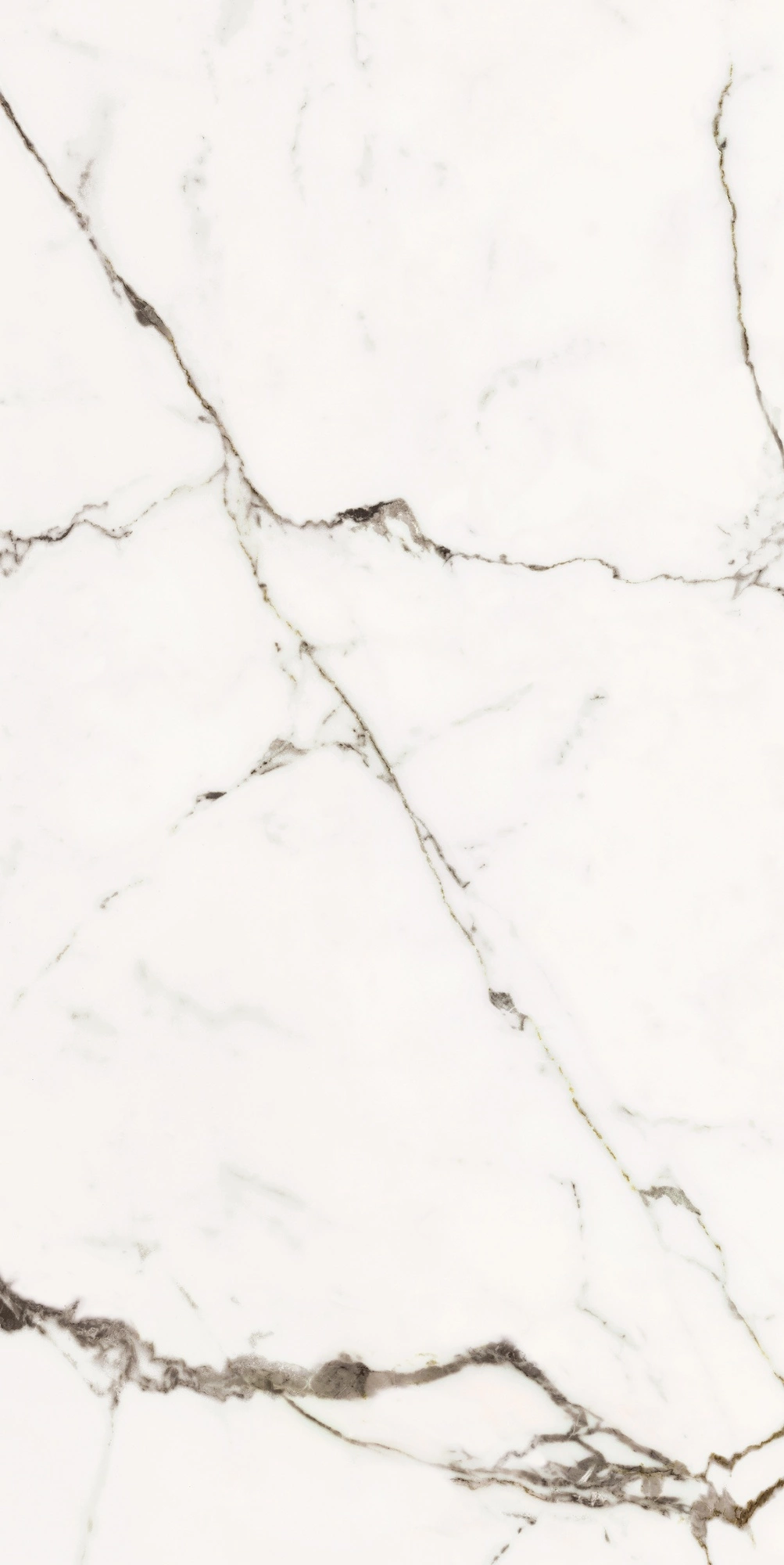 Florim Rex Origines De Rex Or Glossy 60X120 Rett 769858