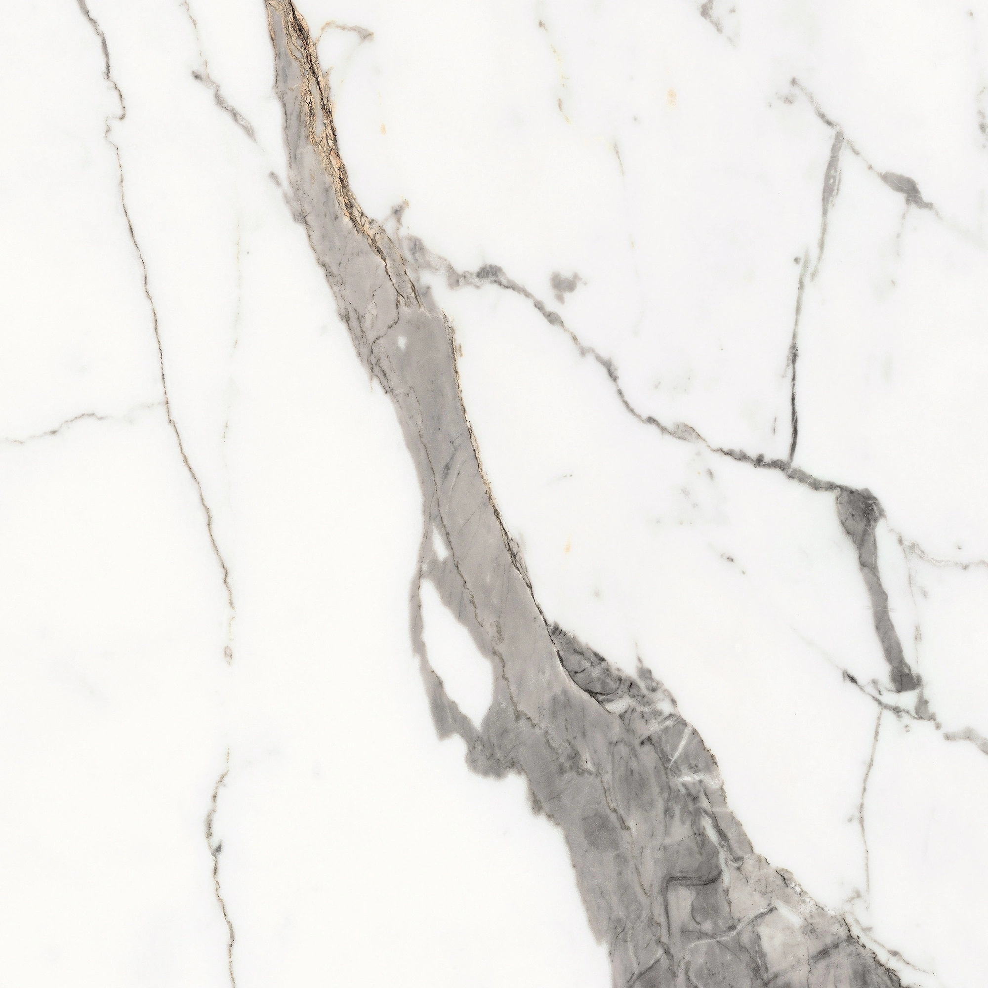 Florim Rex Origines De Rex Or Glossy 60X60 Rett 769842