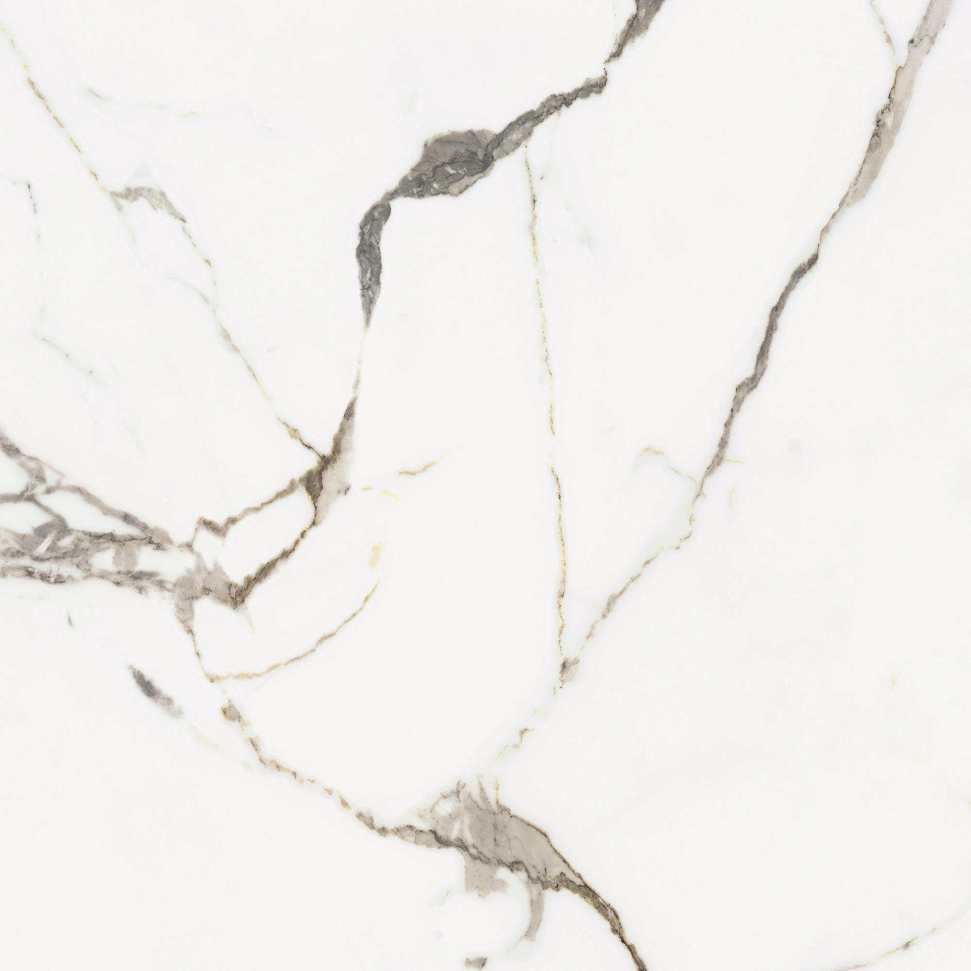 Florim Rex Origines De Rex Or Glossy 60X60 Rett 769842