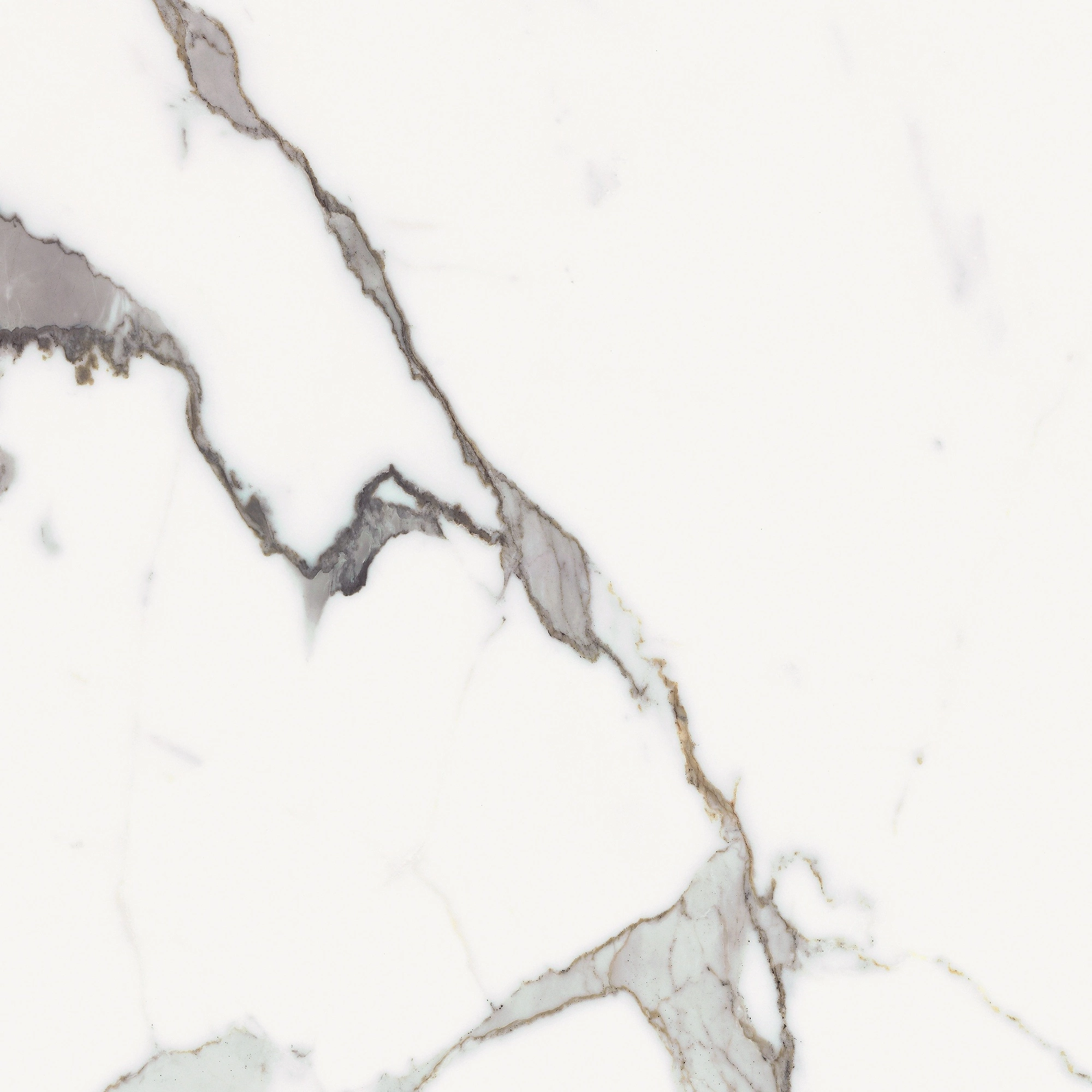 Florim Rex Origines De Rex Or Glossy 60X60 Rett 769842