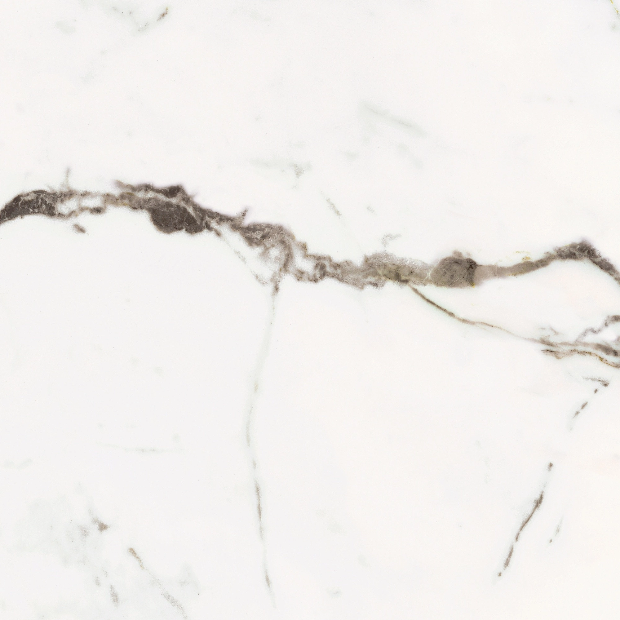 Florim Rex Origines De Rex Or Glossy 60X60 Rett 769842