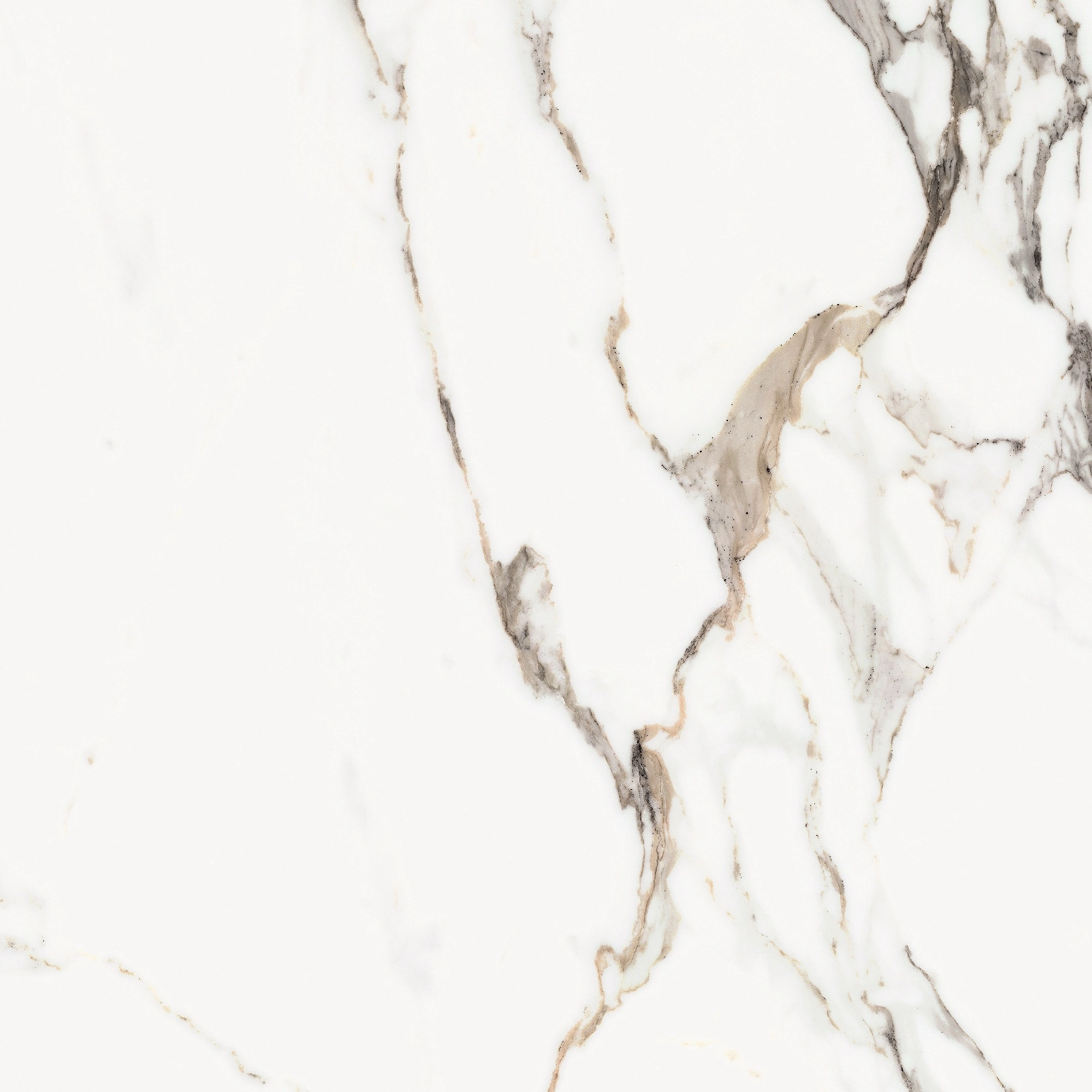 Florim Rex Origines De Rex Or Glossy 60X60 Rett 769842