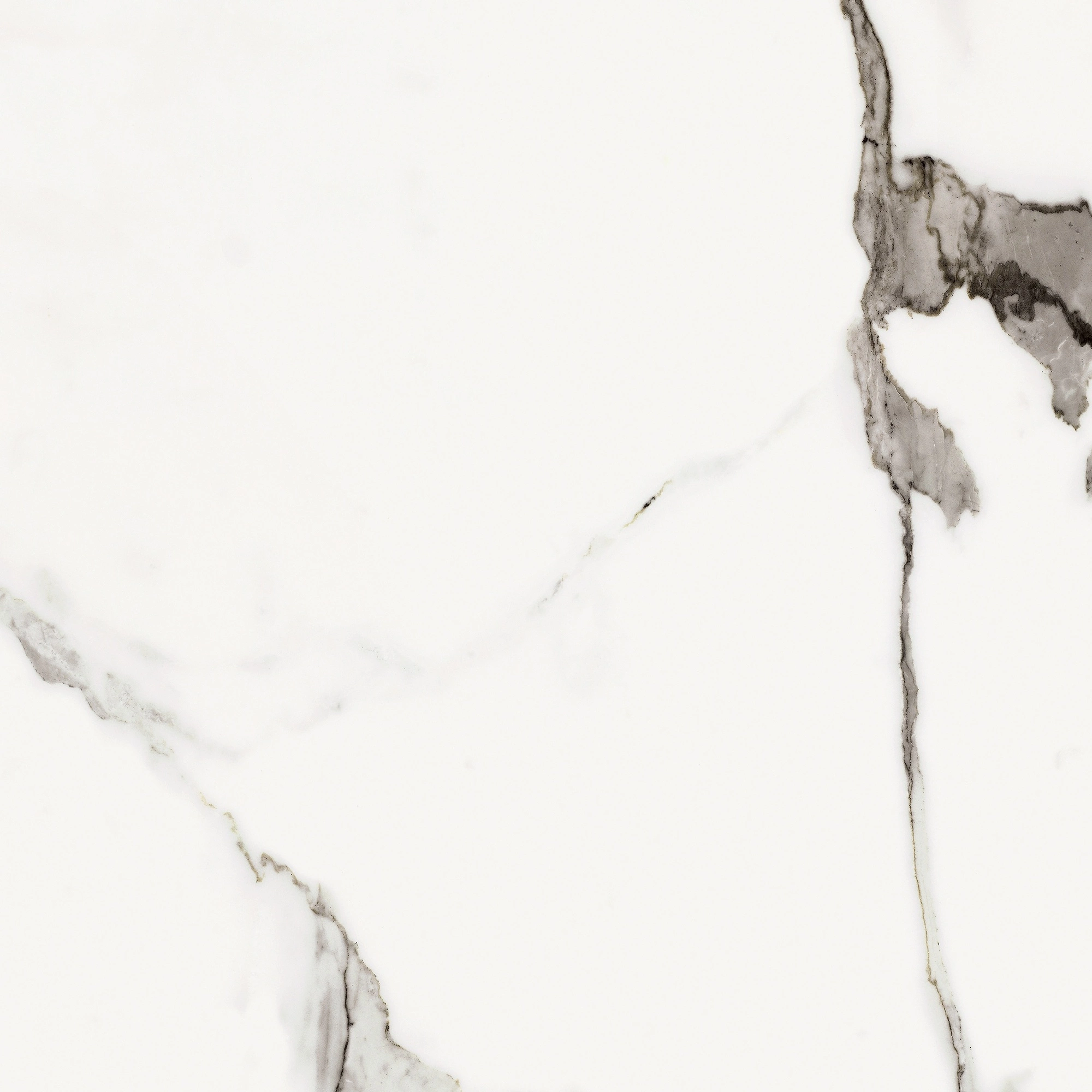 Florim Rex Origines De Rex Or Glossy 60X60 Rett 769842