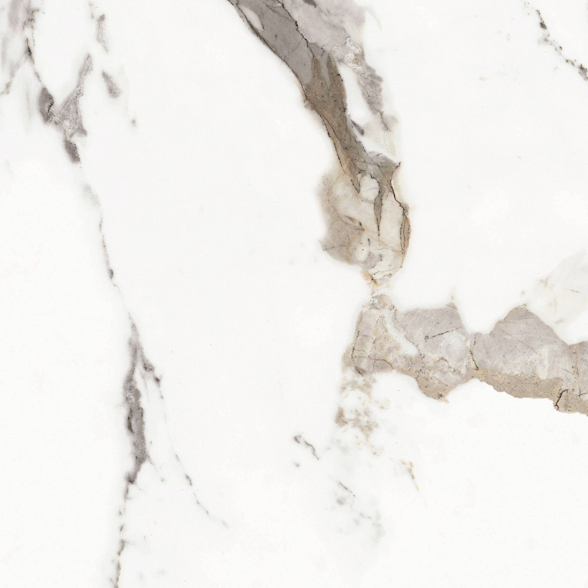 Florim Rex Origines De Rex Or Glossy 60X60 Rett 769842