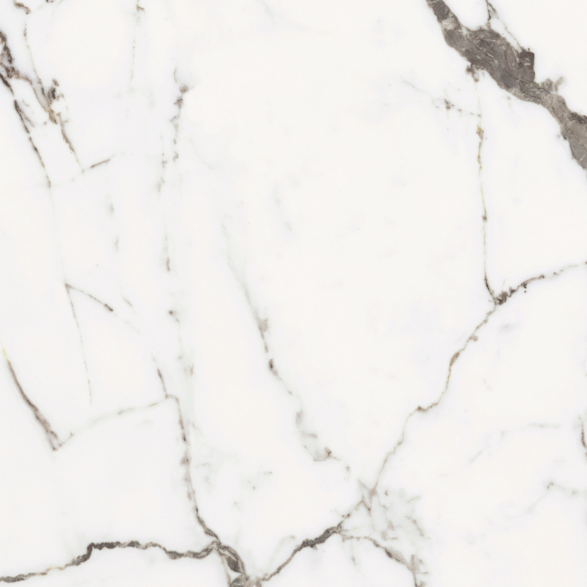 Florim Rex Origines De Rex Or Glossy 60X60 Rett 769842