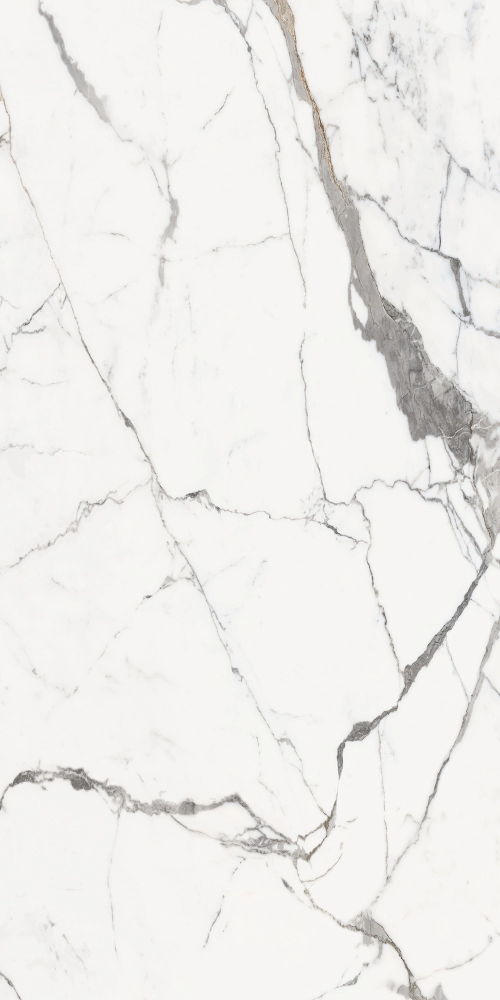 Florim Rex Origines De Rex Or Mat 6Mm 120X240 R 769966