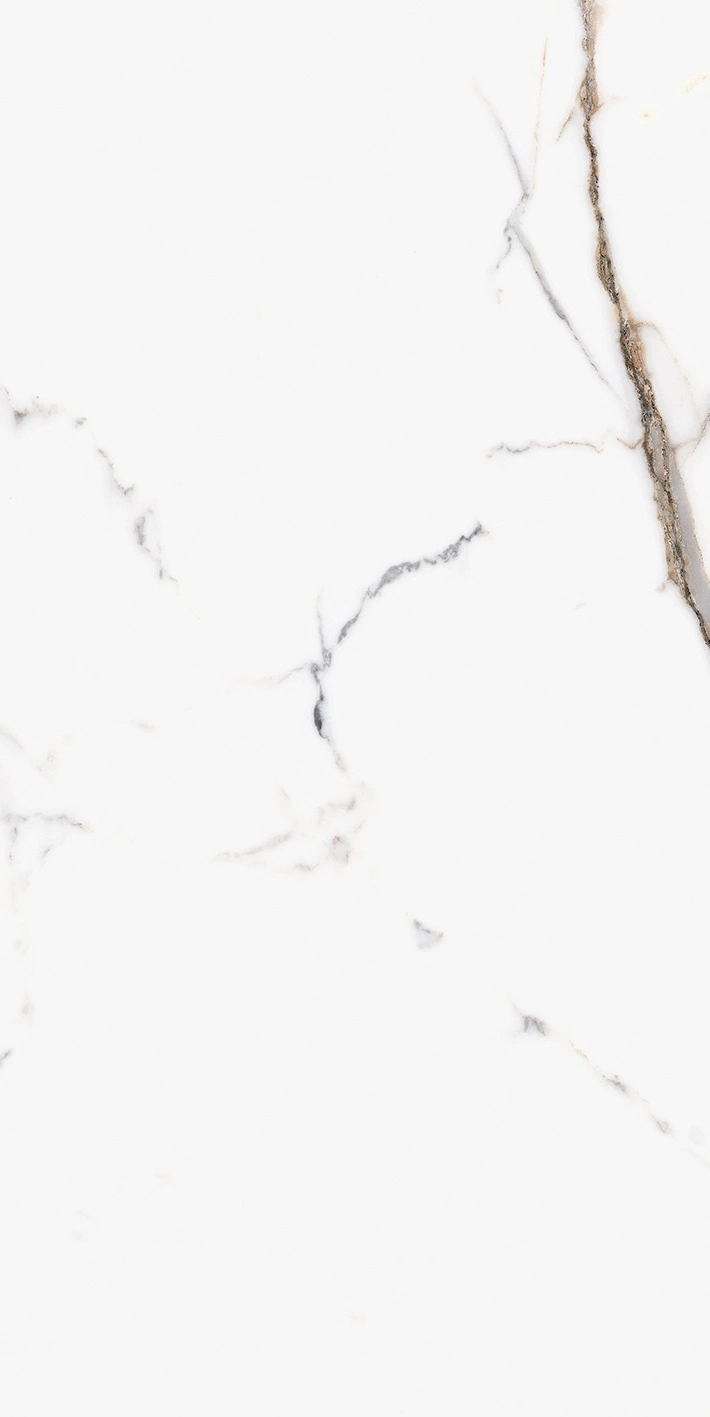 Florim Rex Origines De Rex Or Mat 6Mm 60X120 R 769982